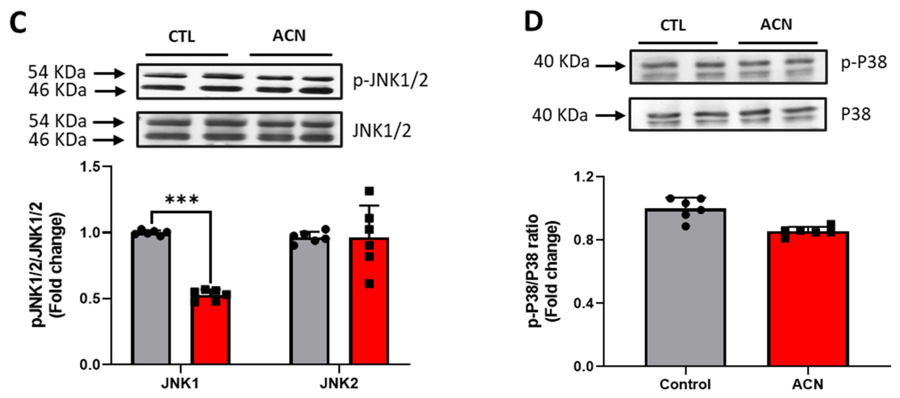 Antioxidants 10 01235 g003b Antioxidants 10 01235 g003b
