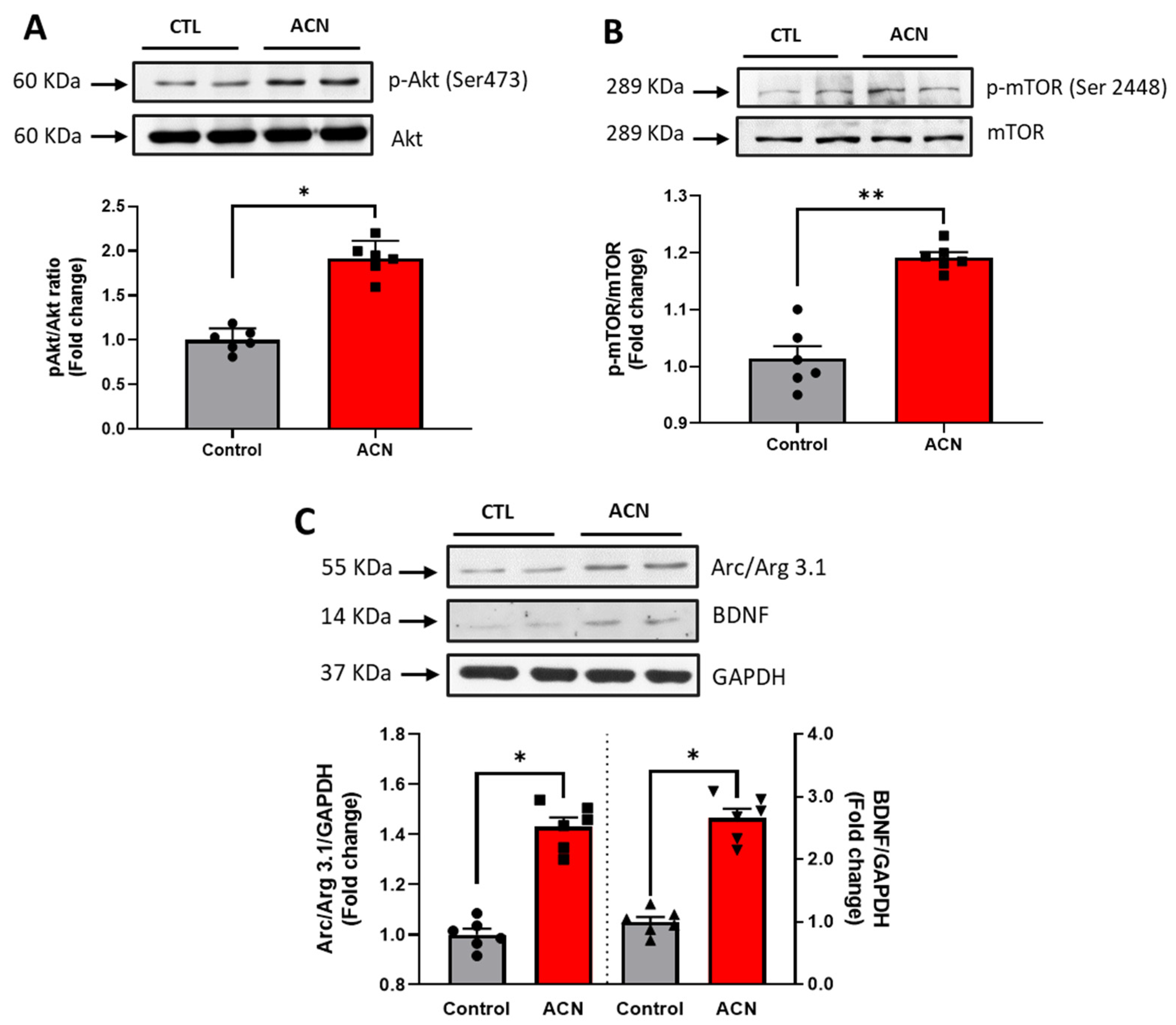 Antioxidants 10 01235 g004 Antioxidants 10 01235 g004