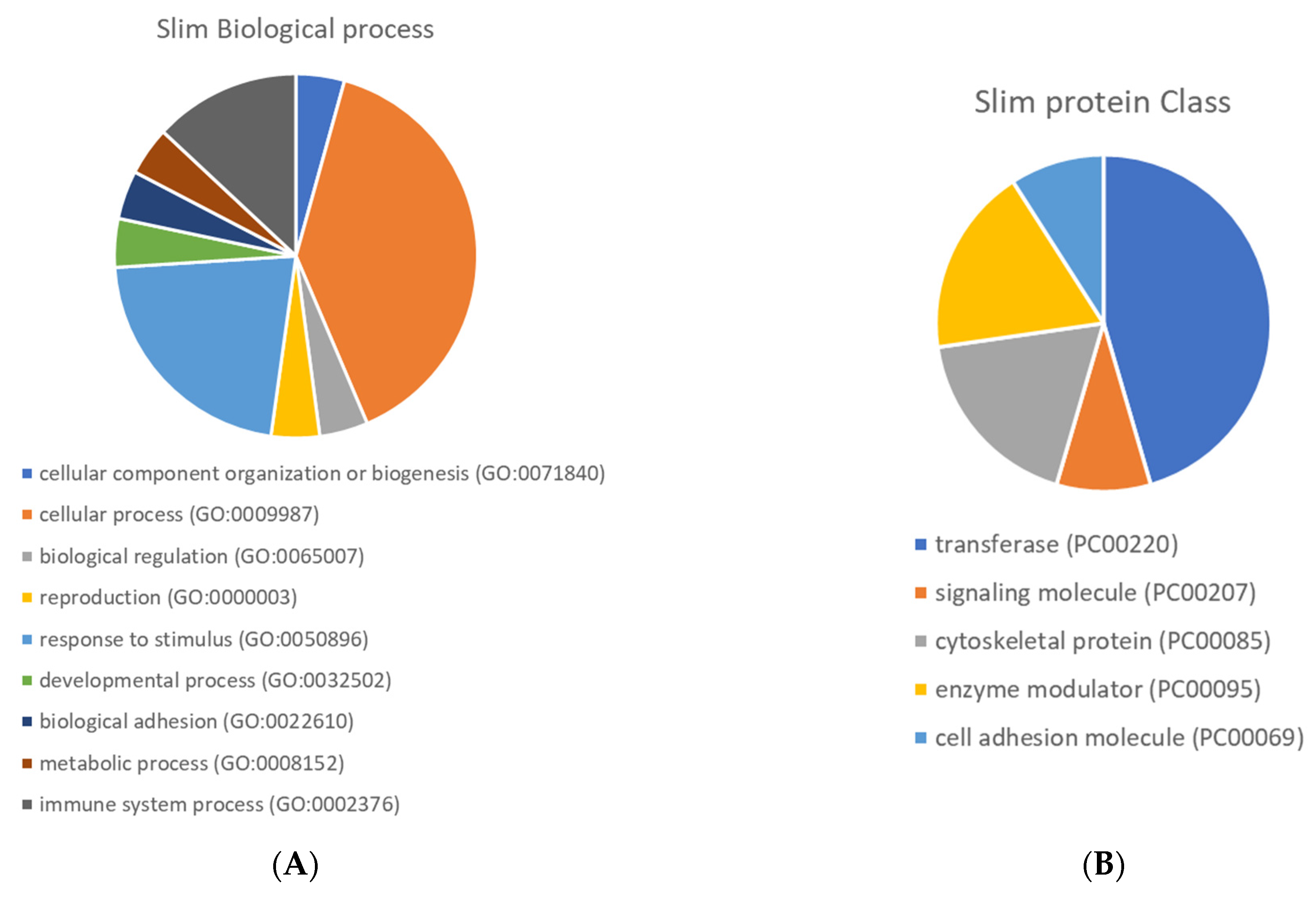 Antioxidants 10 01235 g005 Antioxidants 10 01235 g005