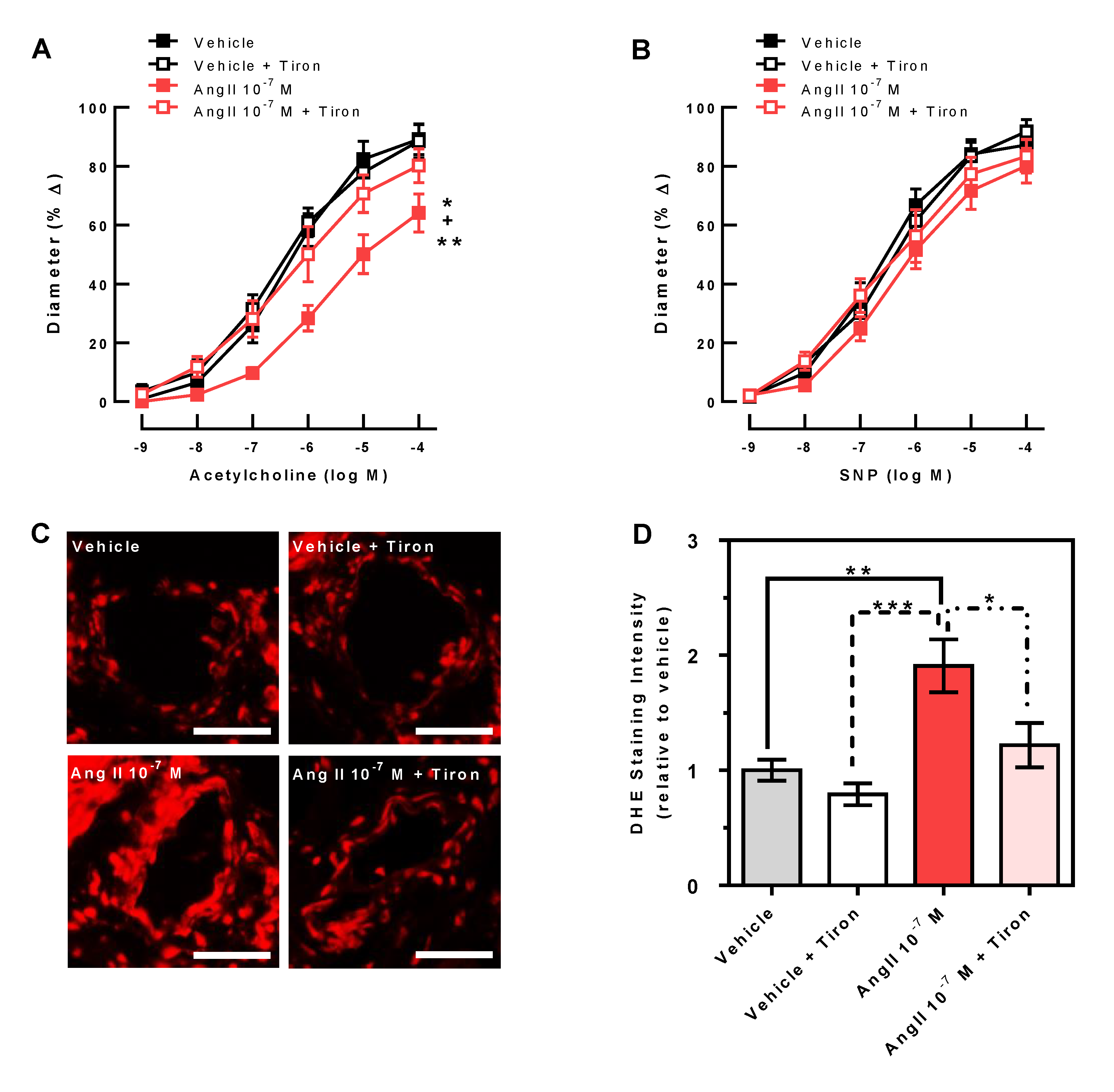 Antioxidants 10 01238 g003