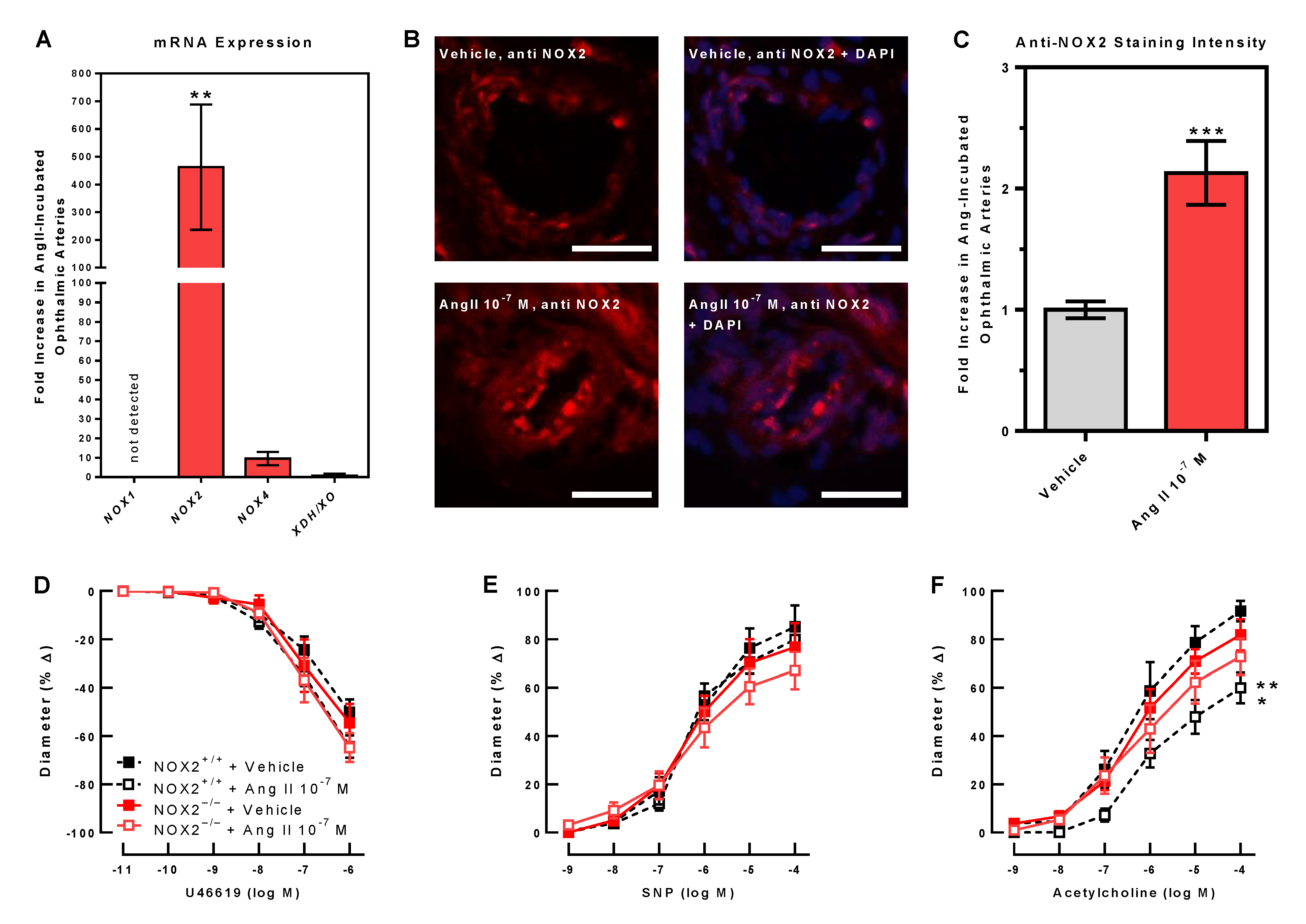 Antioxidants 10 01238 g004