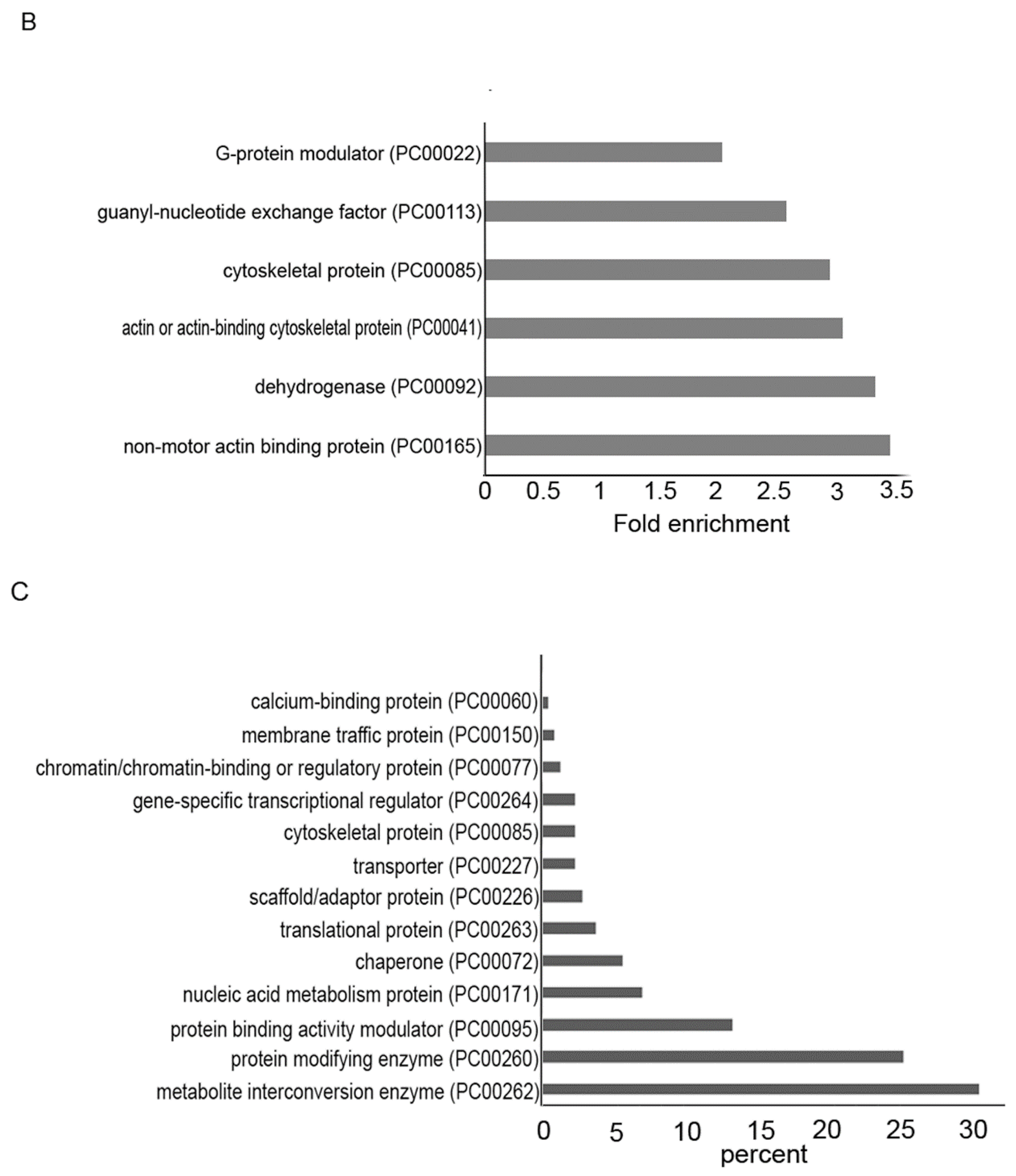 Antioxidants 10 01240 g002b Antioxidants 10 01240 g002b