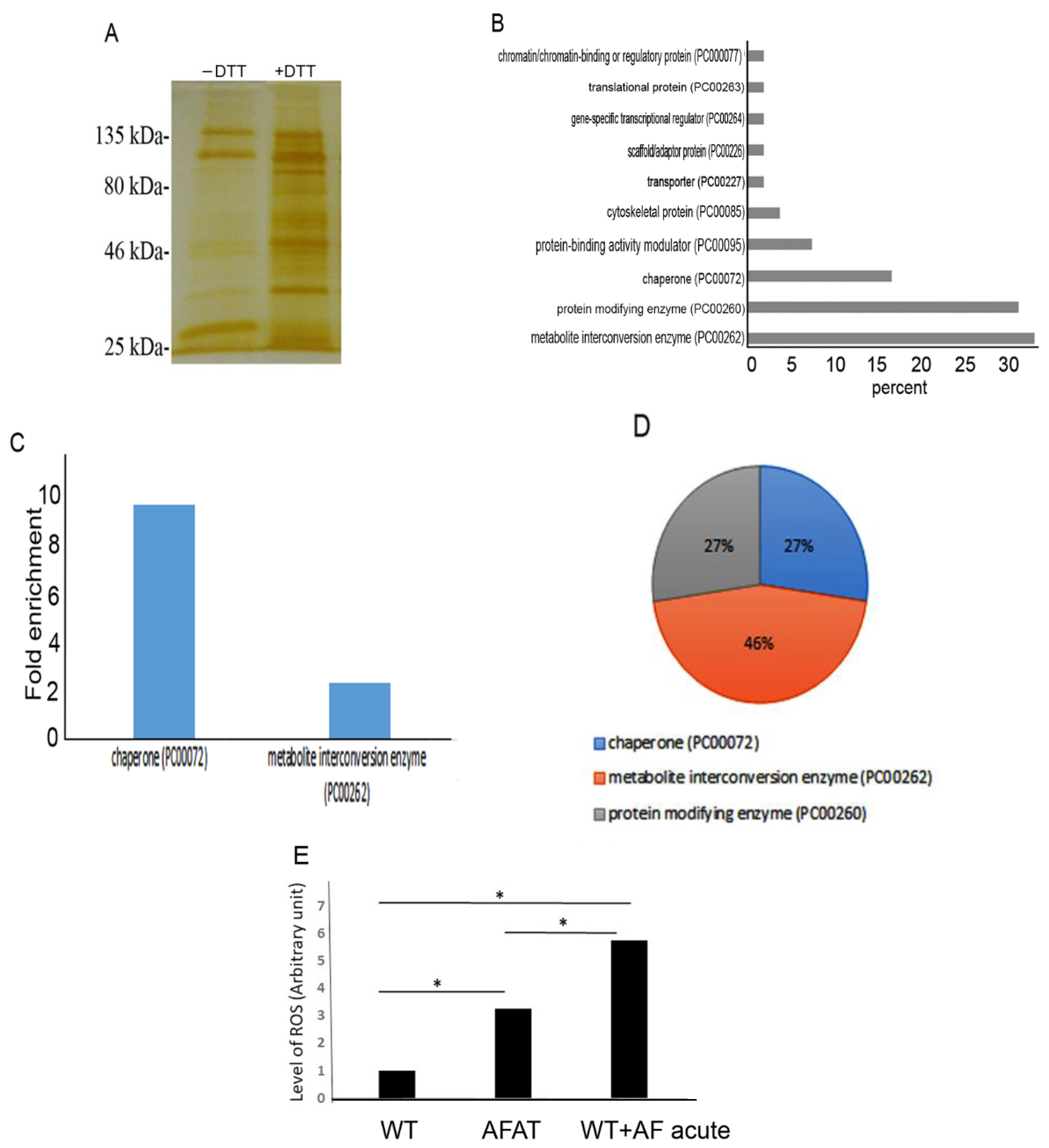 Antioxidants 10 01240 g003 Antioxidants 10 01240 g003