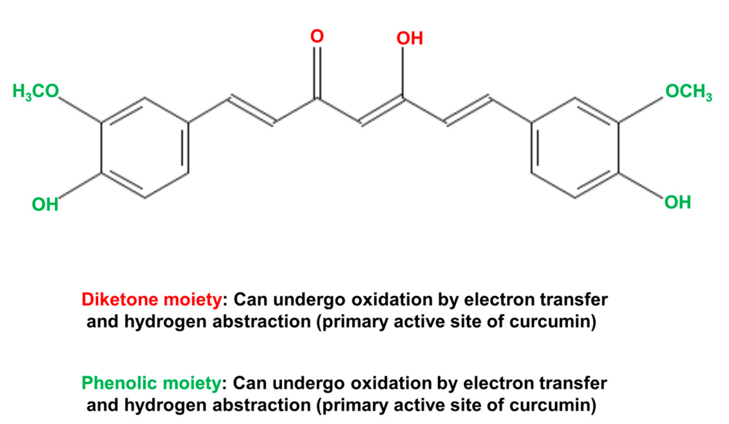 Antioxidants 10 01243 g008