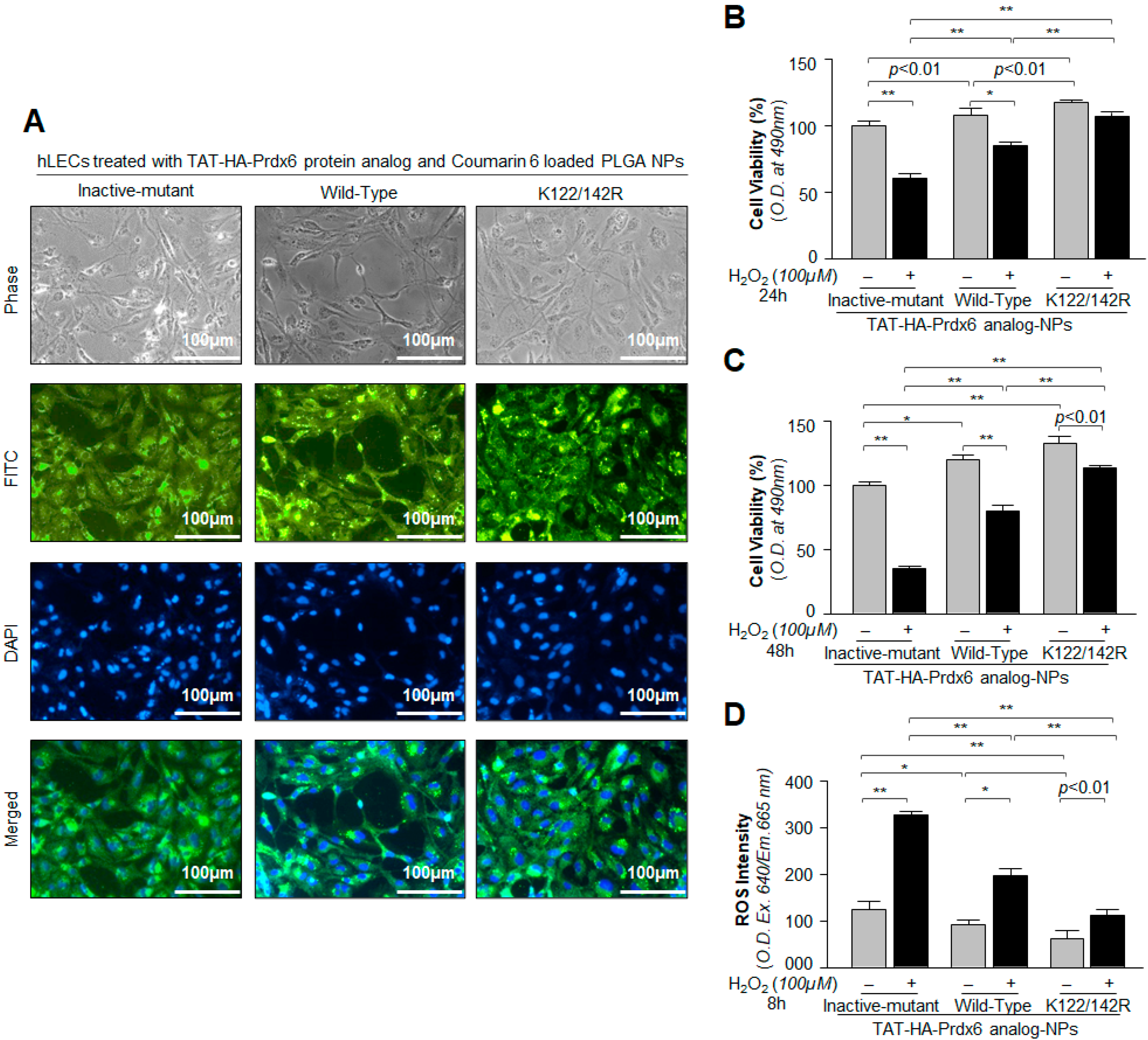 Antioxidants 10 01245 g004