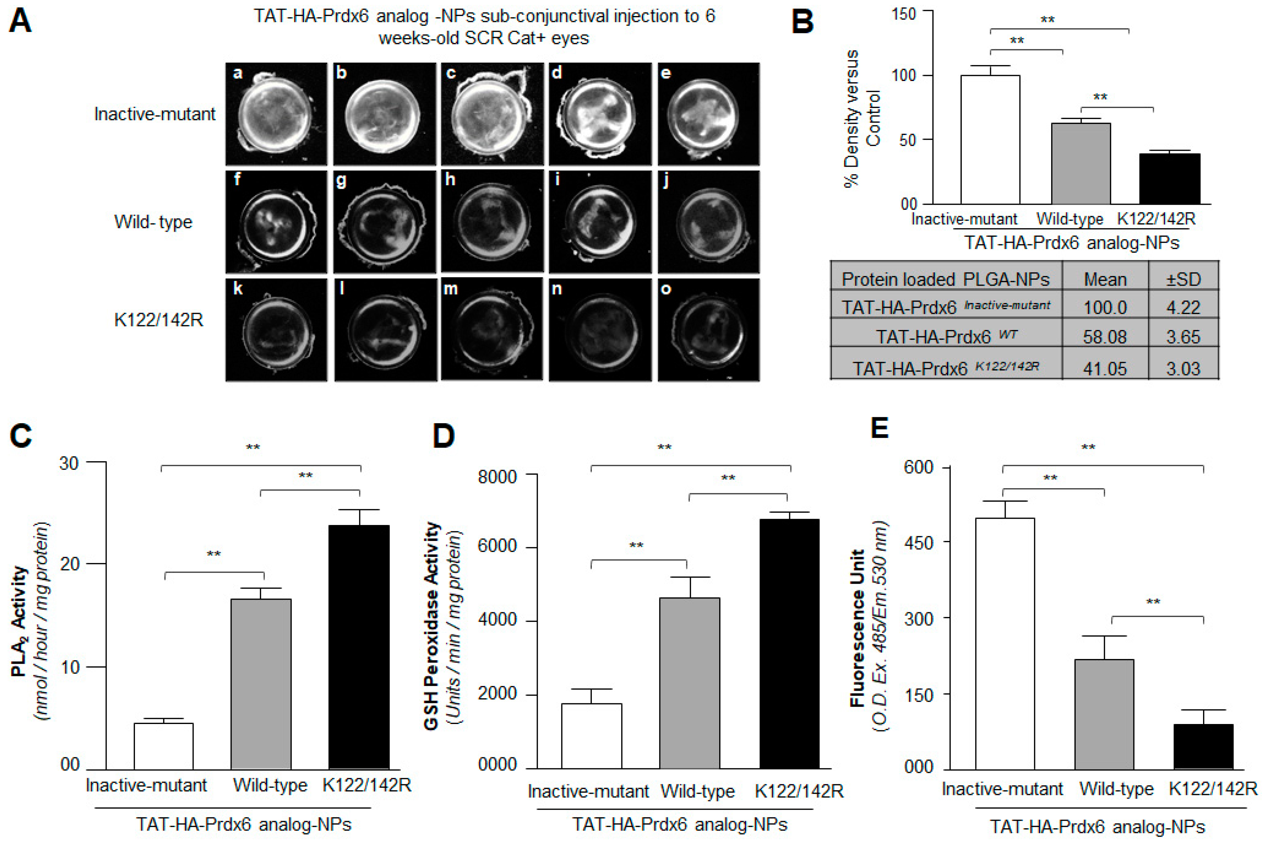 Antioxidants 10 01245 g006