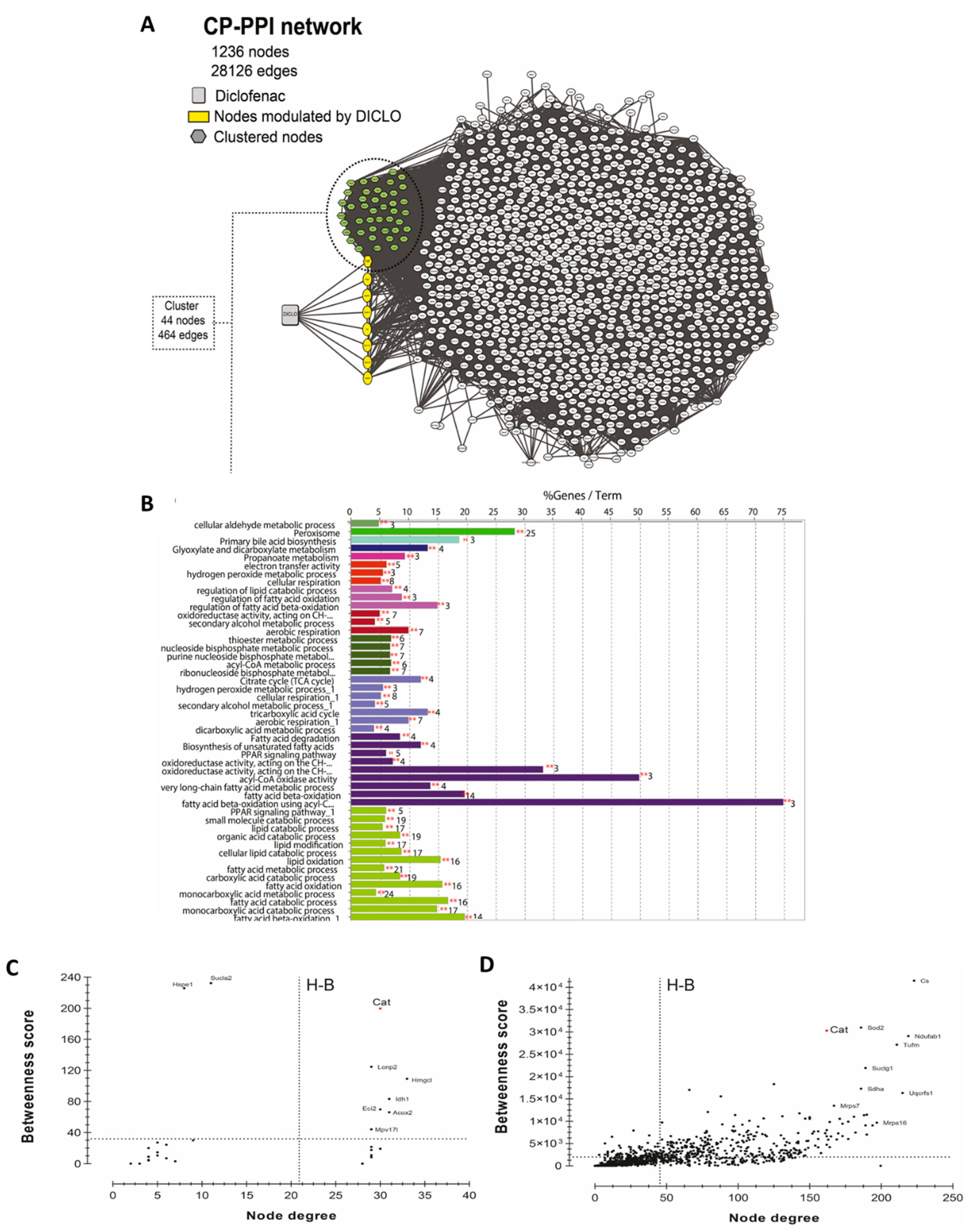 Antioxidants 10 01246 g005