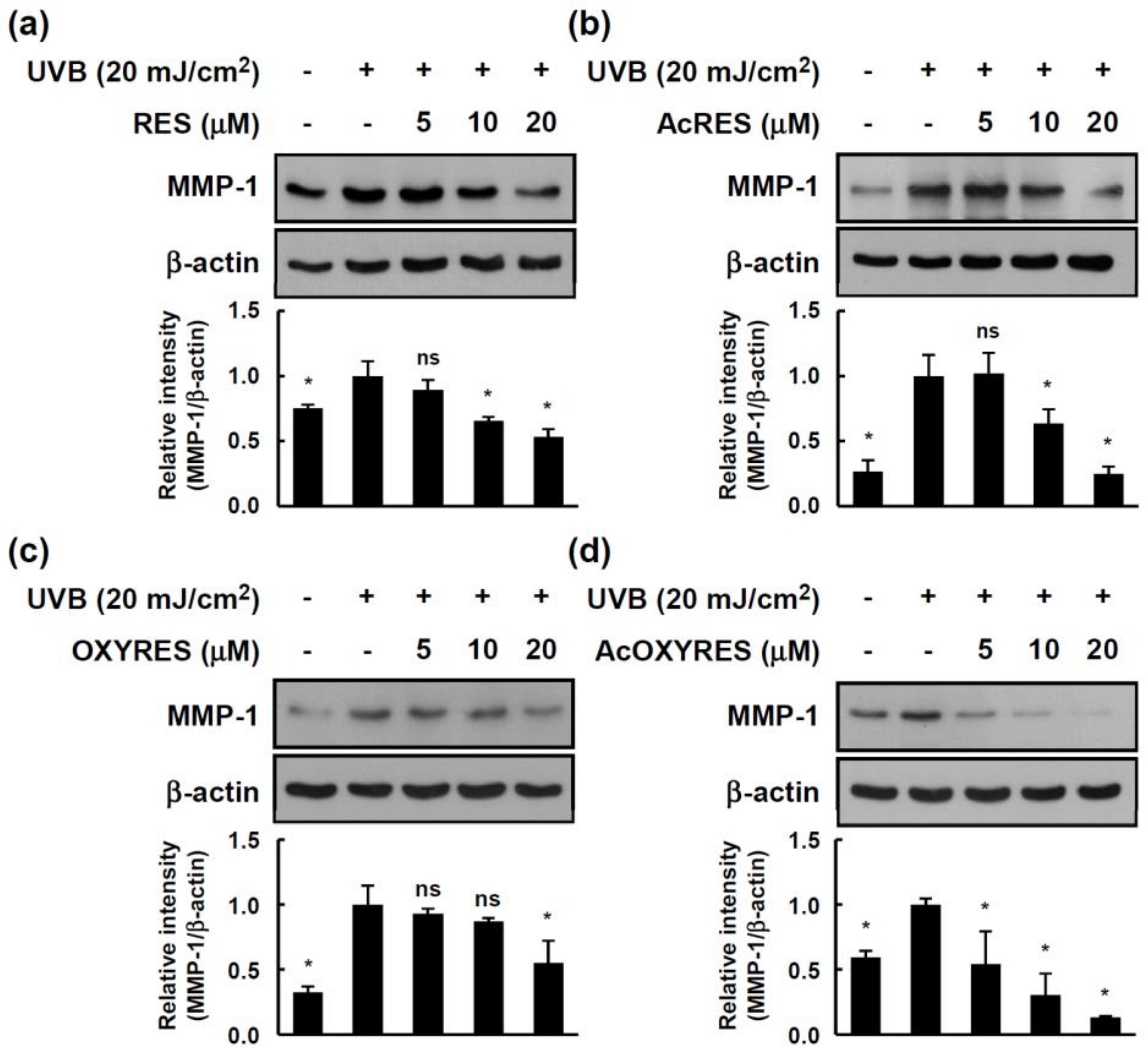 Antioxidants 10 01252 g005