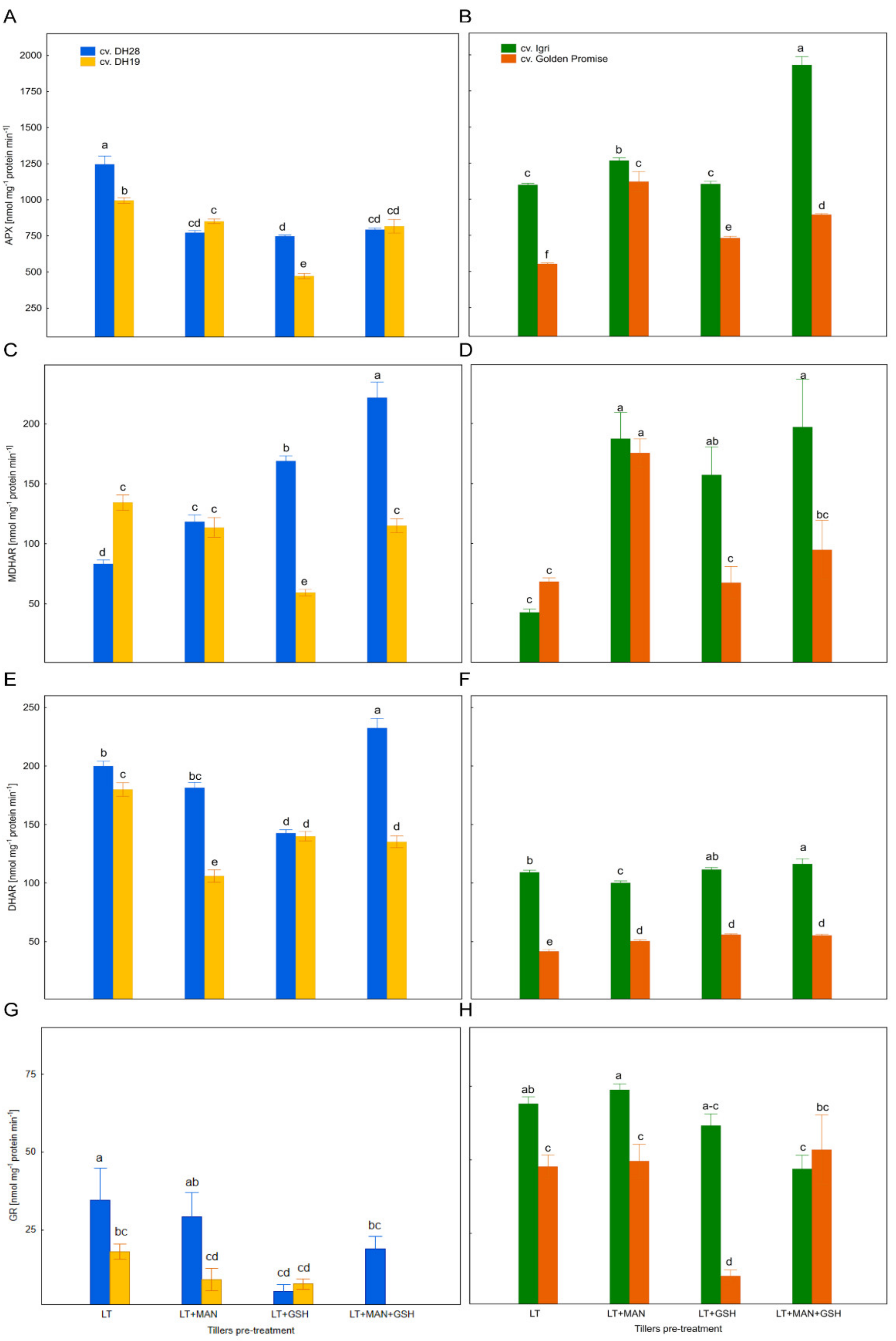 Antioxidants 10 01254 g004