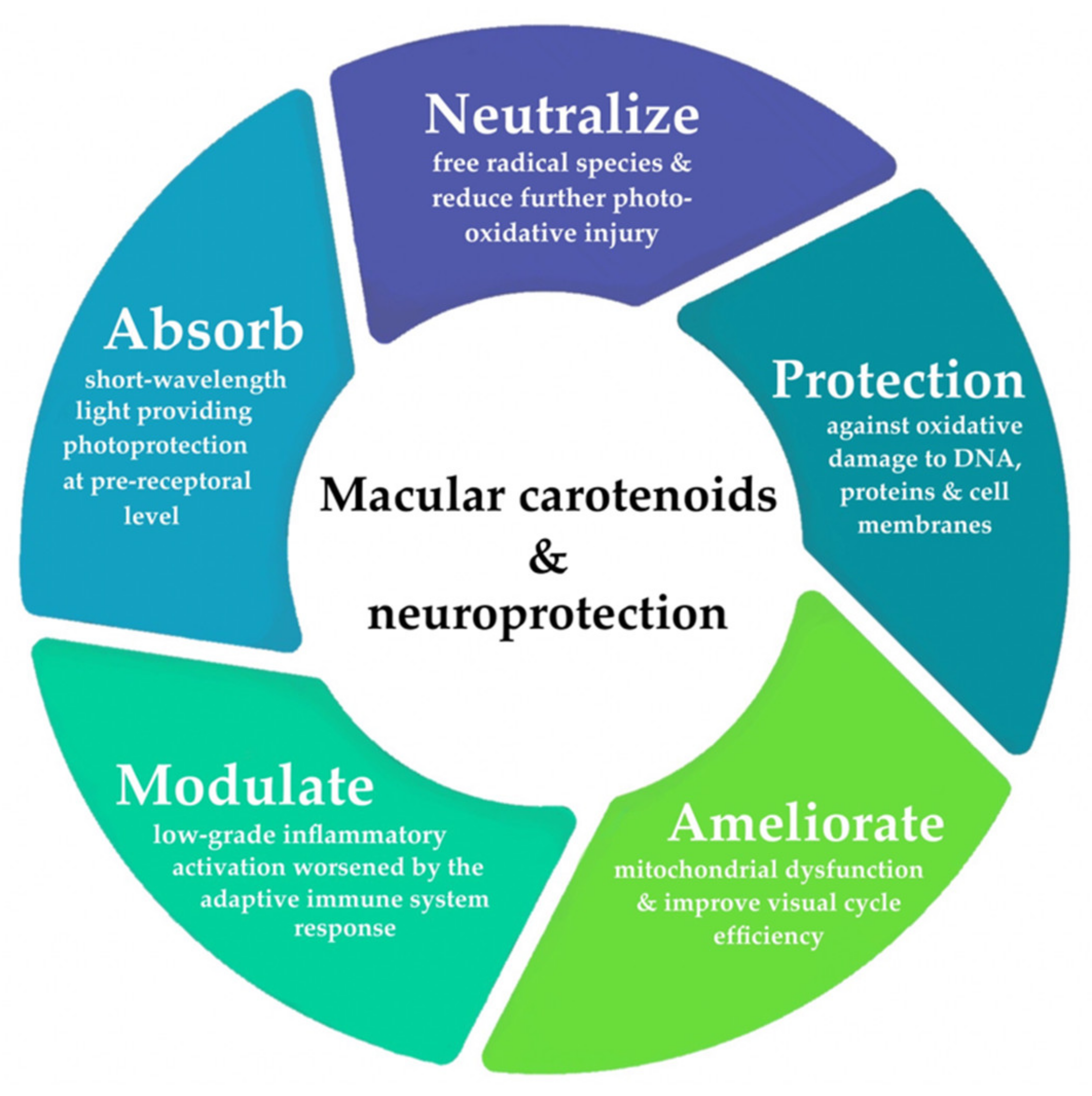 Antioxidants 10 01255 g001