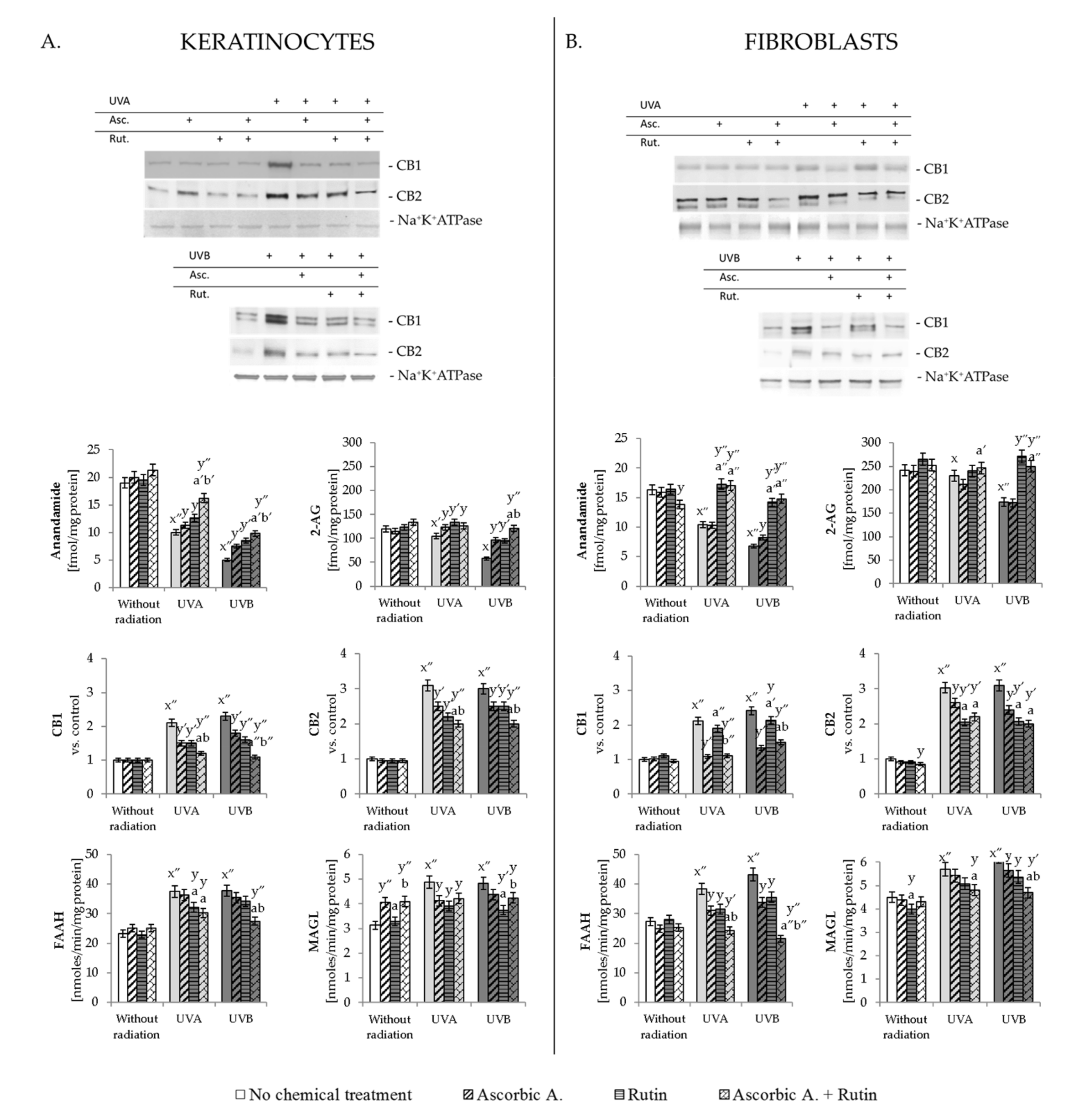 Antioxidants 10 01260 g004