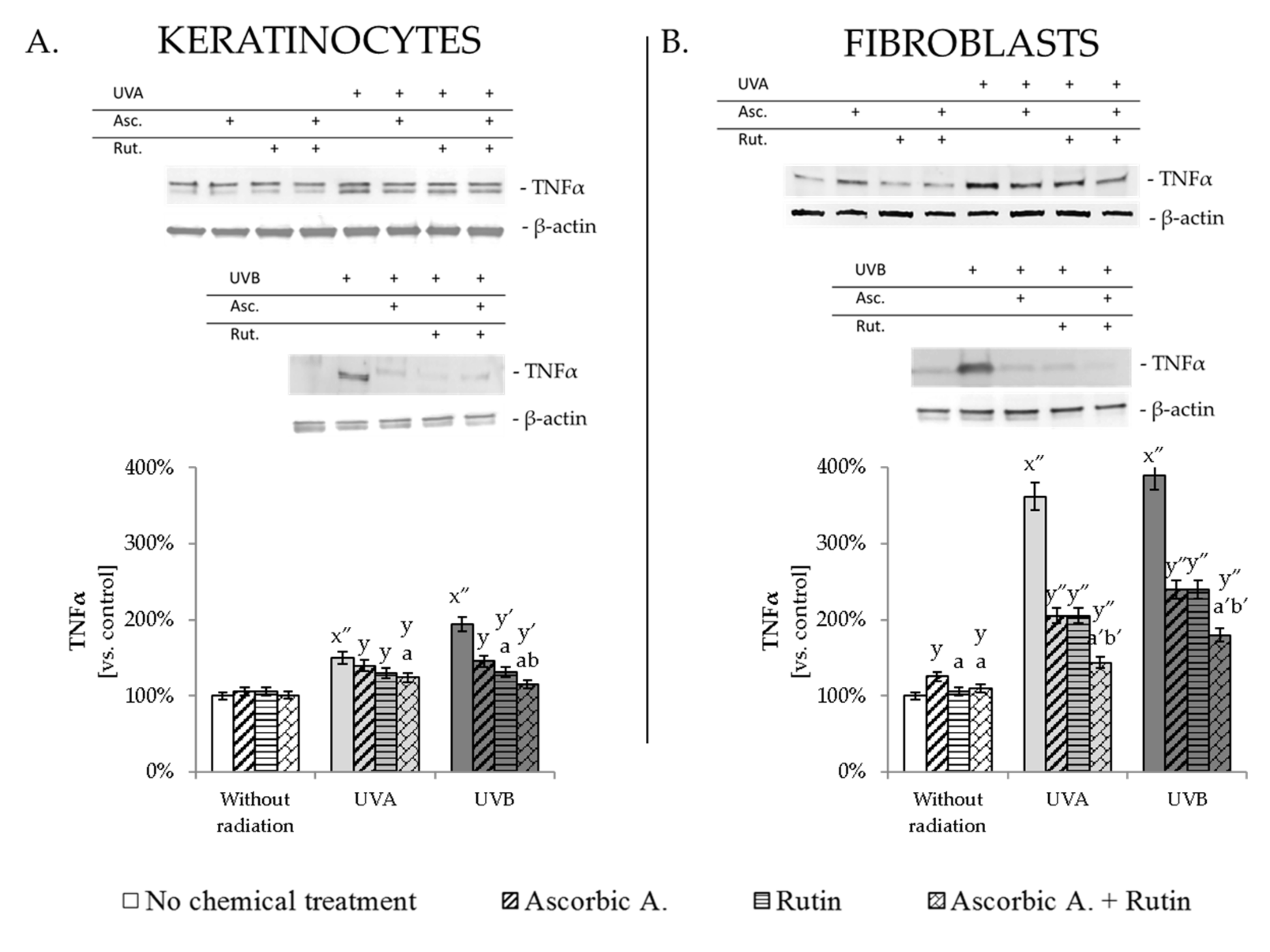 Antioxidants 10 01260 g005