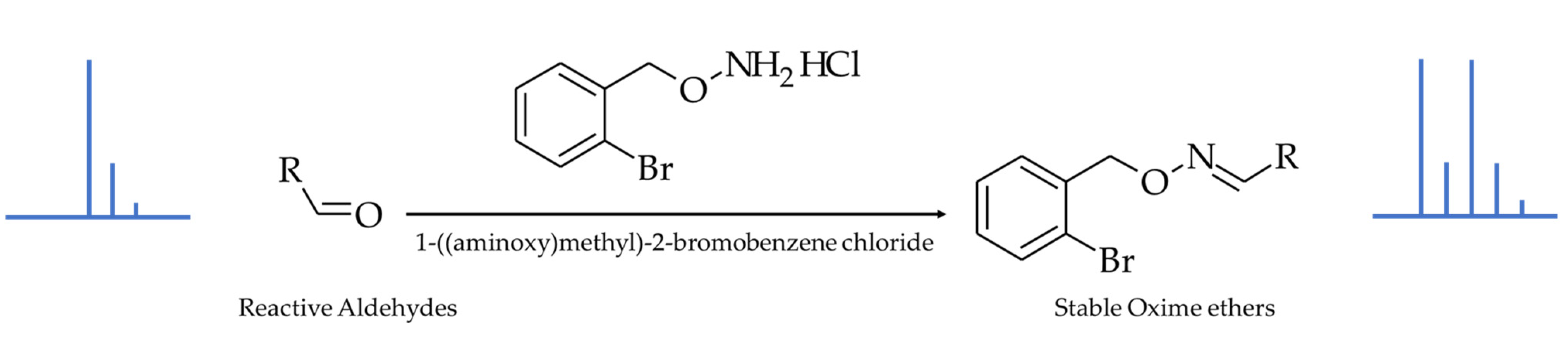 Antioxidants 10 01261 g001