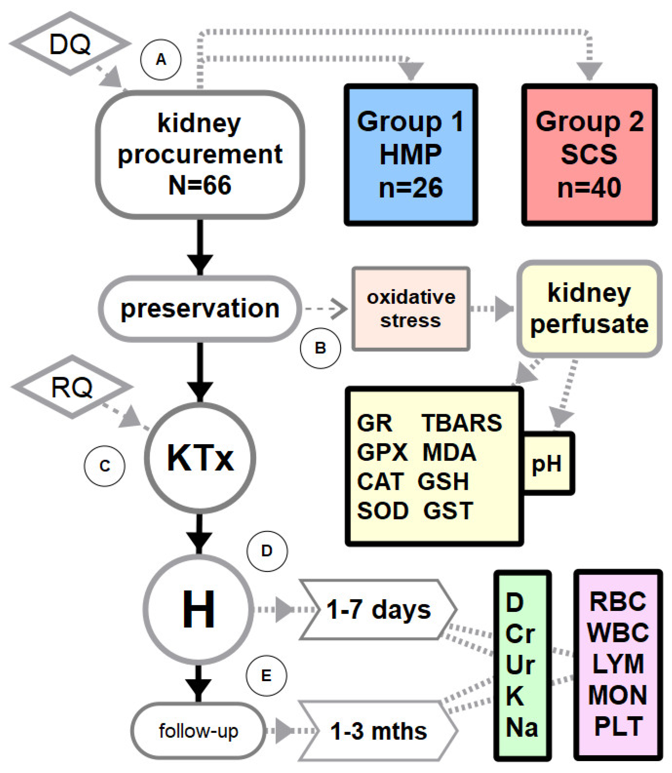 Antioxidants 10 01263 g001