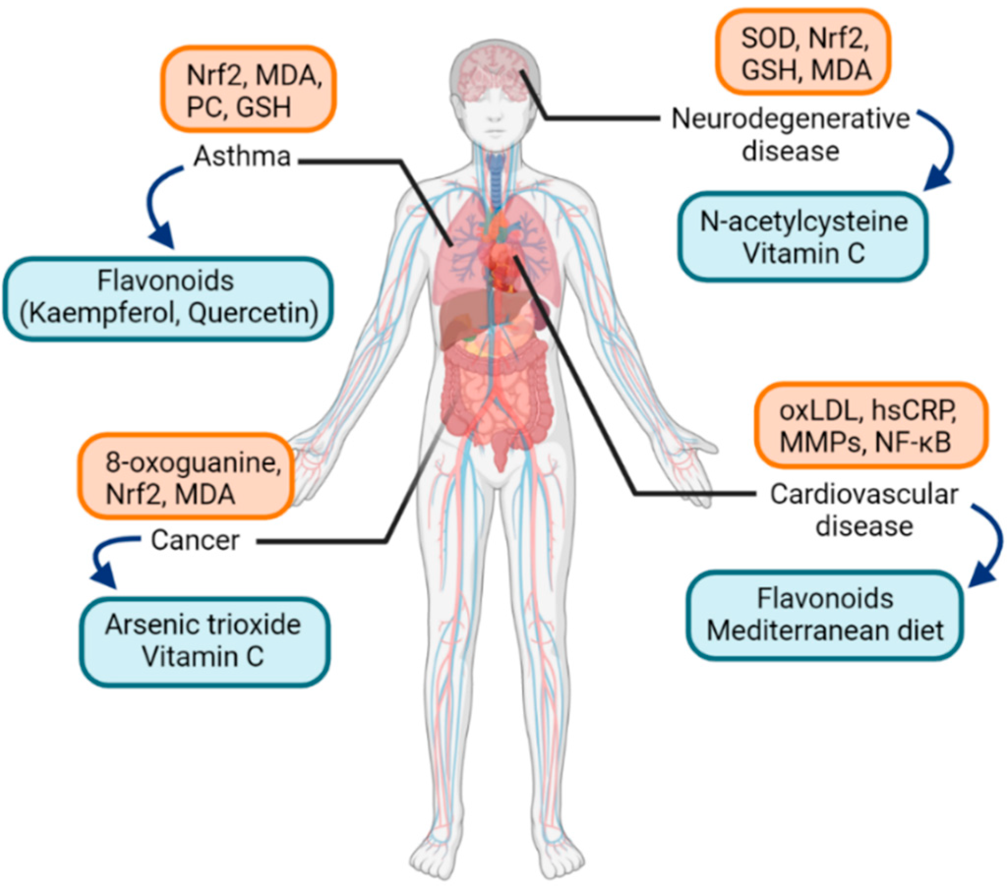 Antioxidants 10 01266 g002