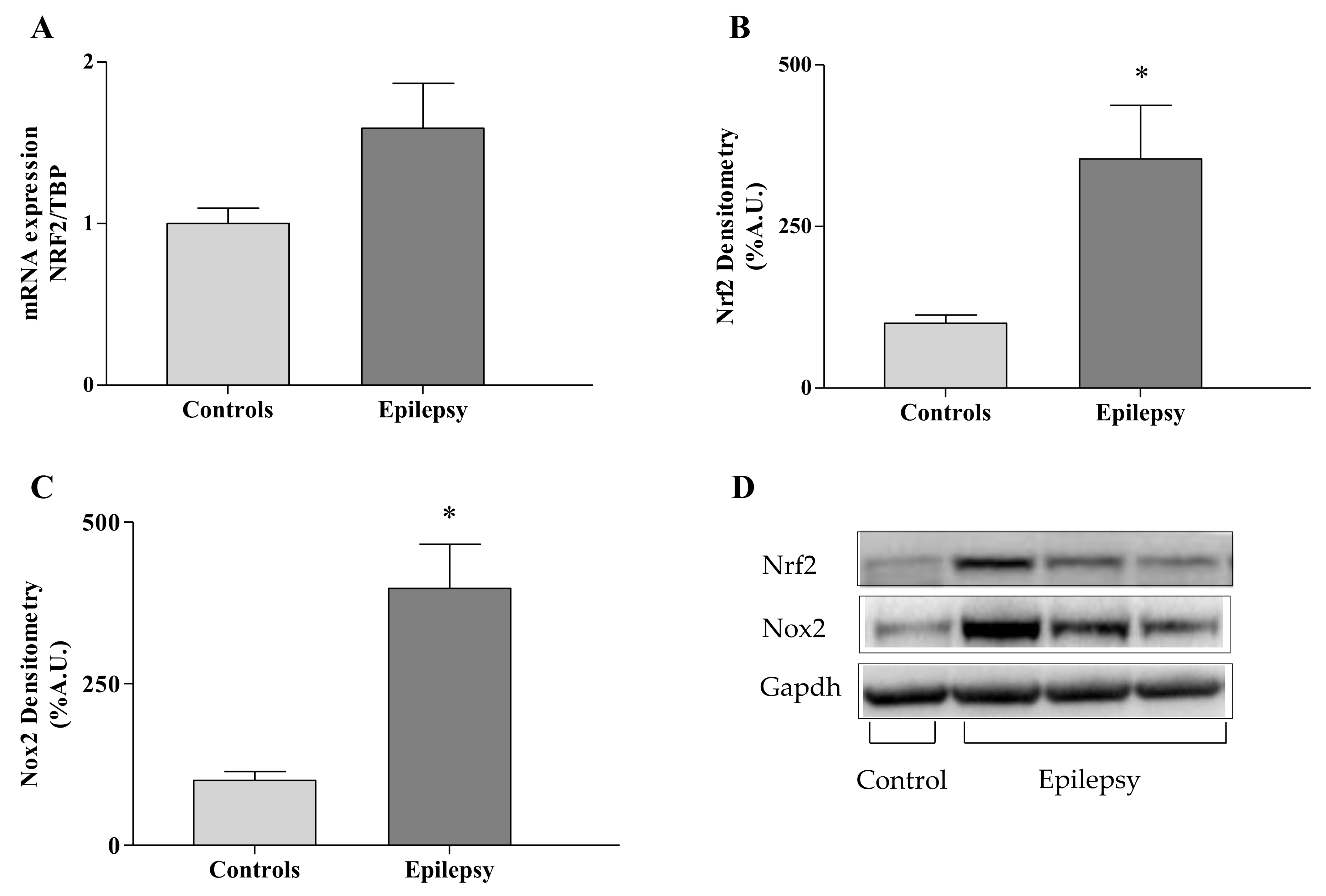 Antioxidants 10 01267 g004