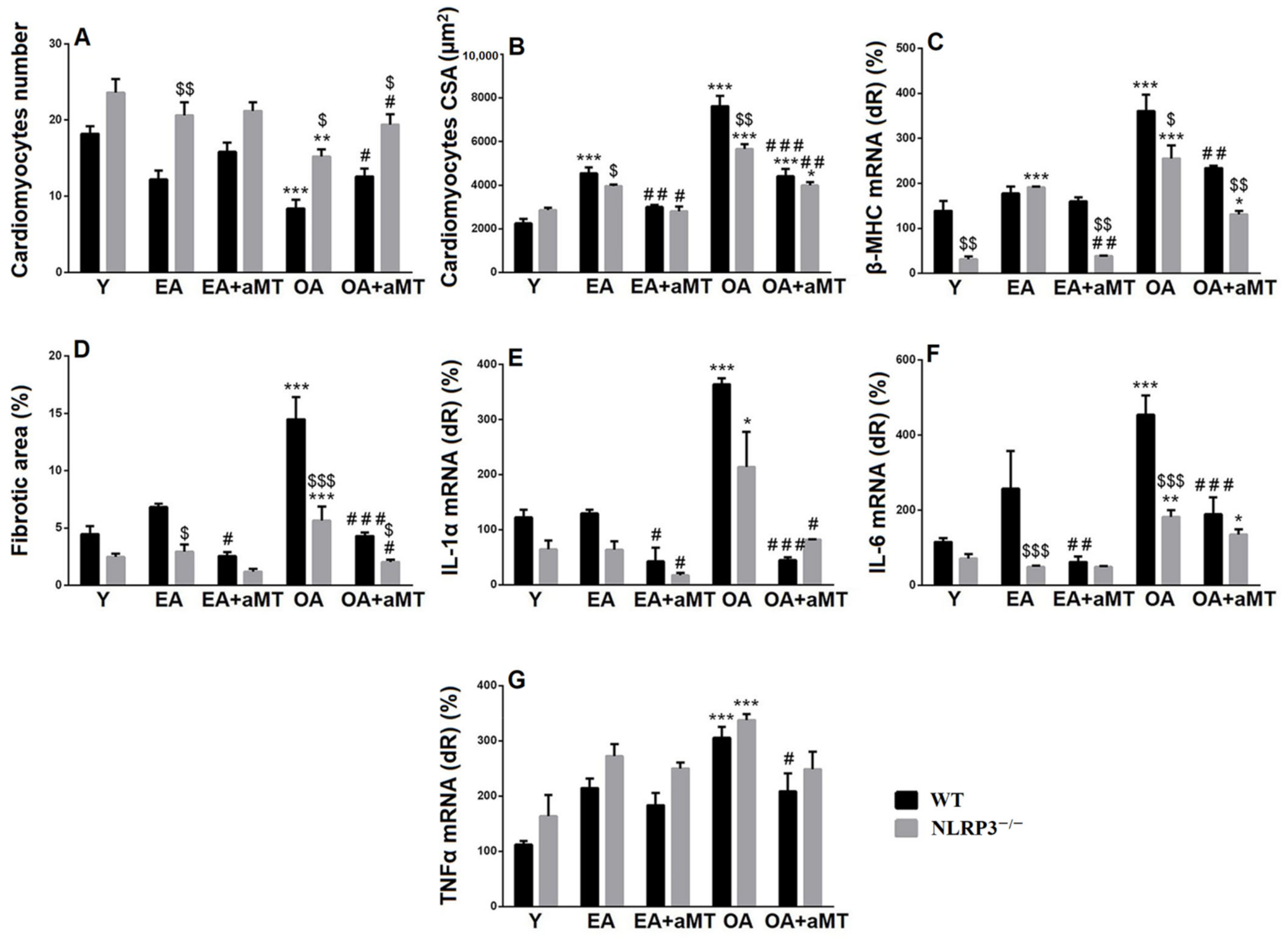 Antioxidants 10 01269 g003