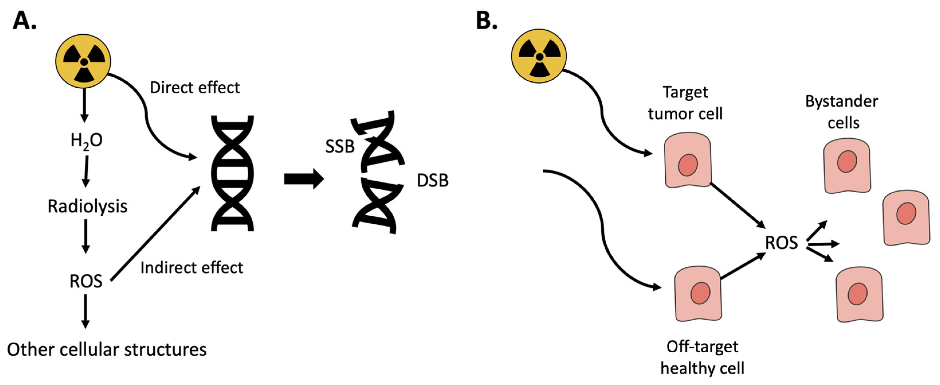 Antioxidants 10 01271 g001