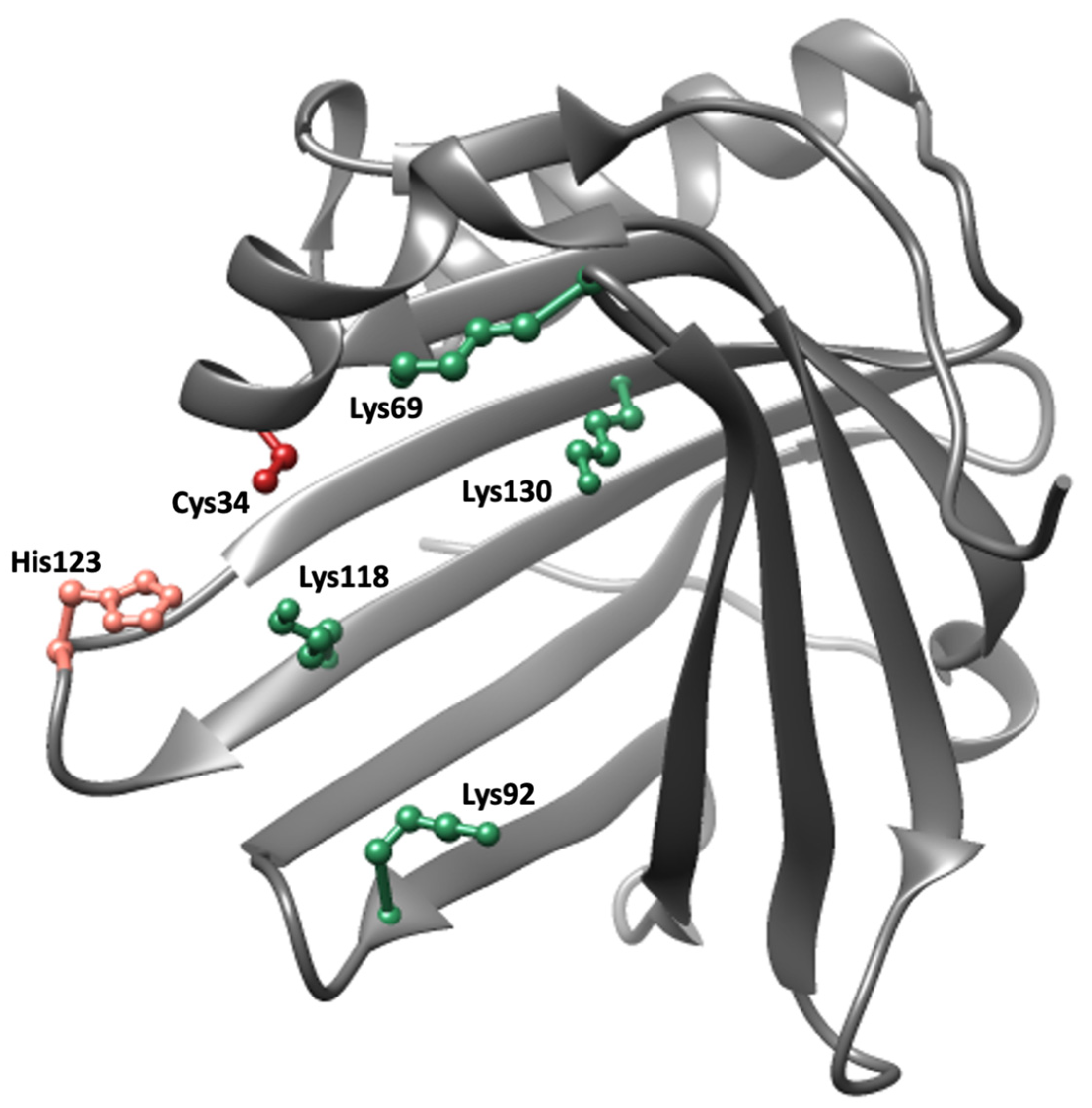 Antioxidants 10 01271 g002