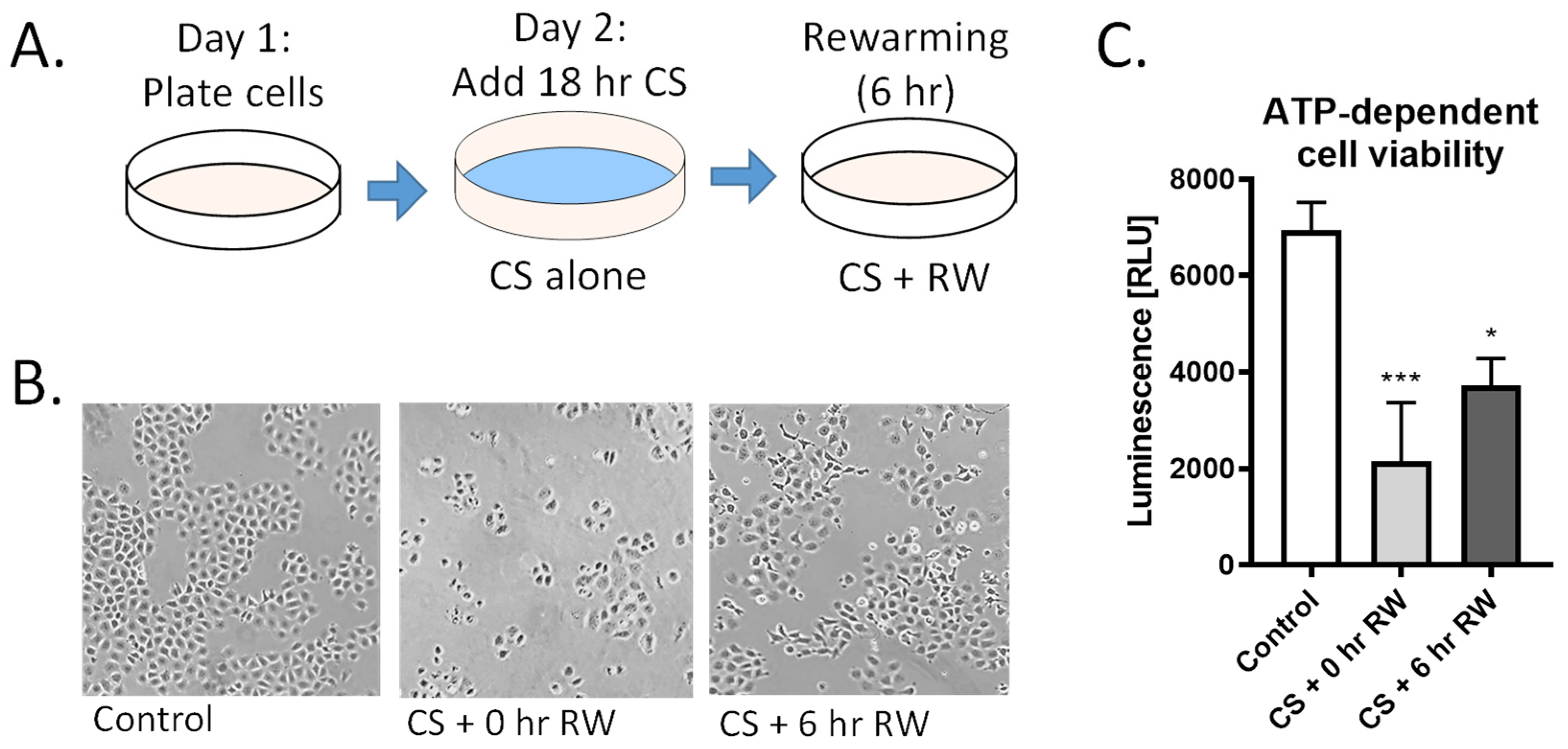 Antioxidants 10 01272 g001