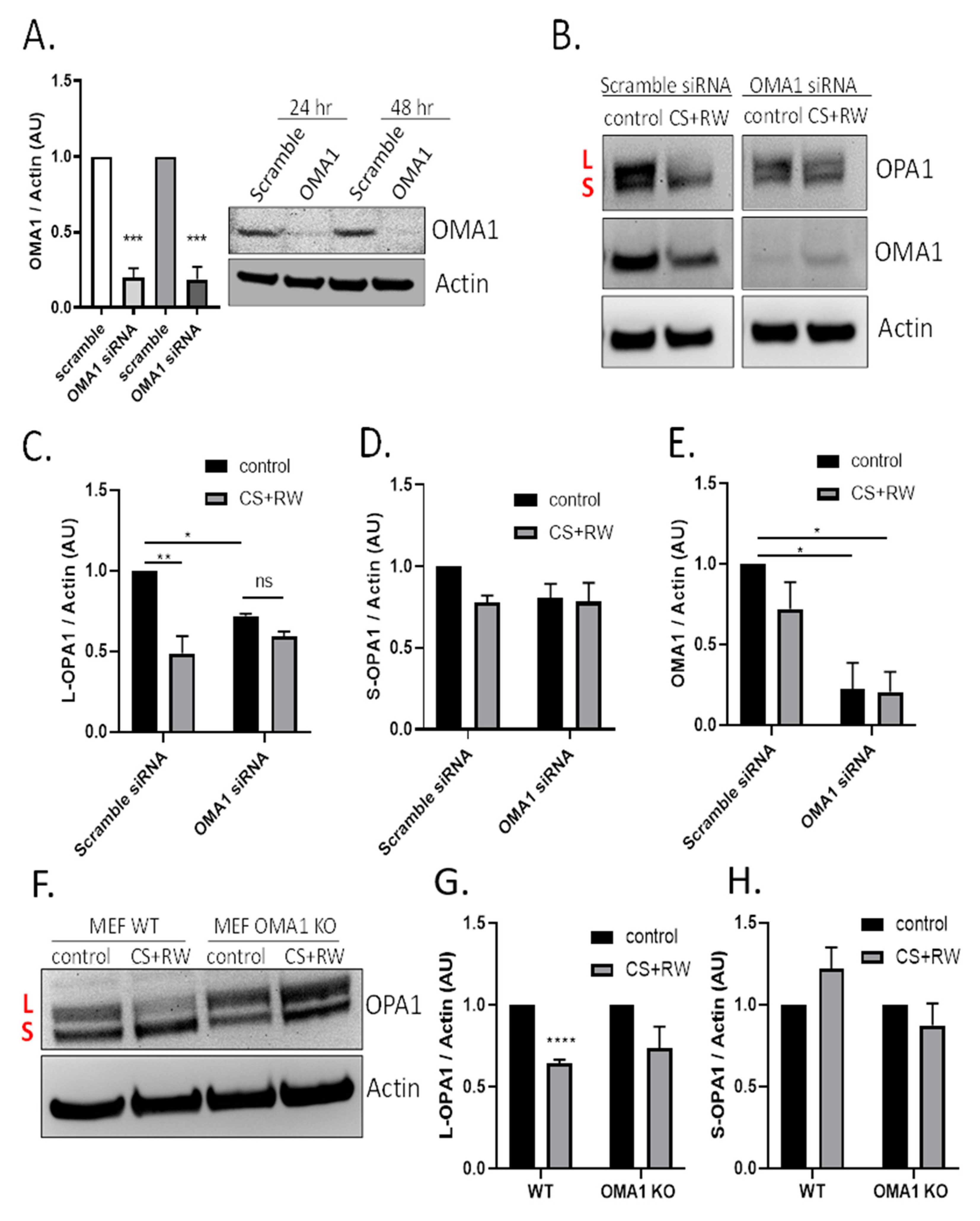 Antioxidants 10 01272 g003