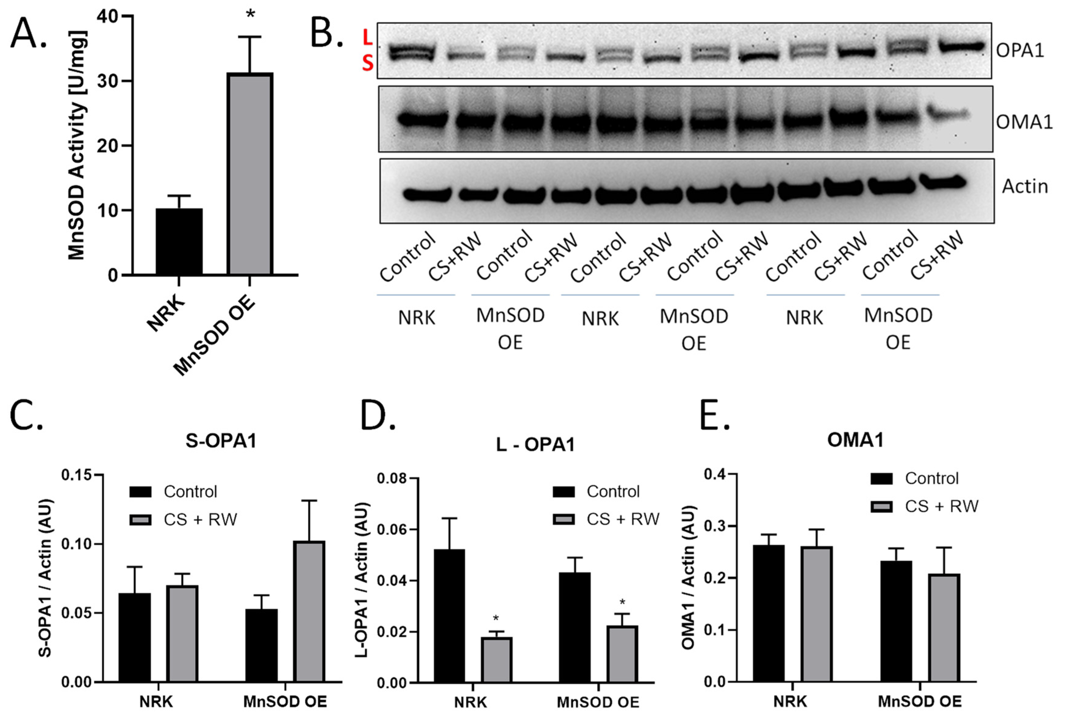 Antioxidants 10 01272 g004