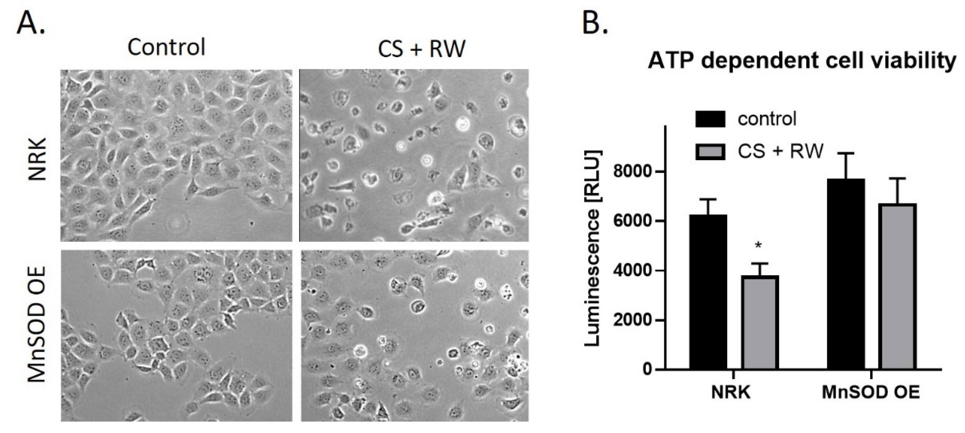Antioxidants 10 01272 g006