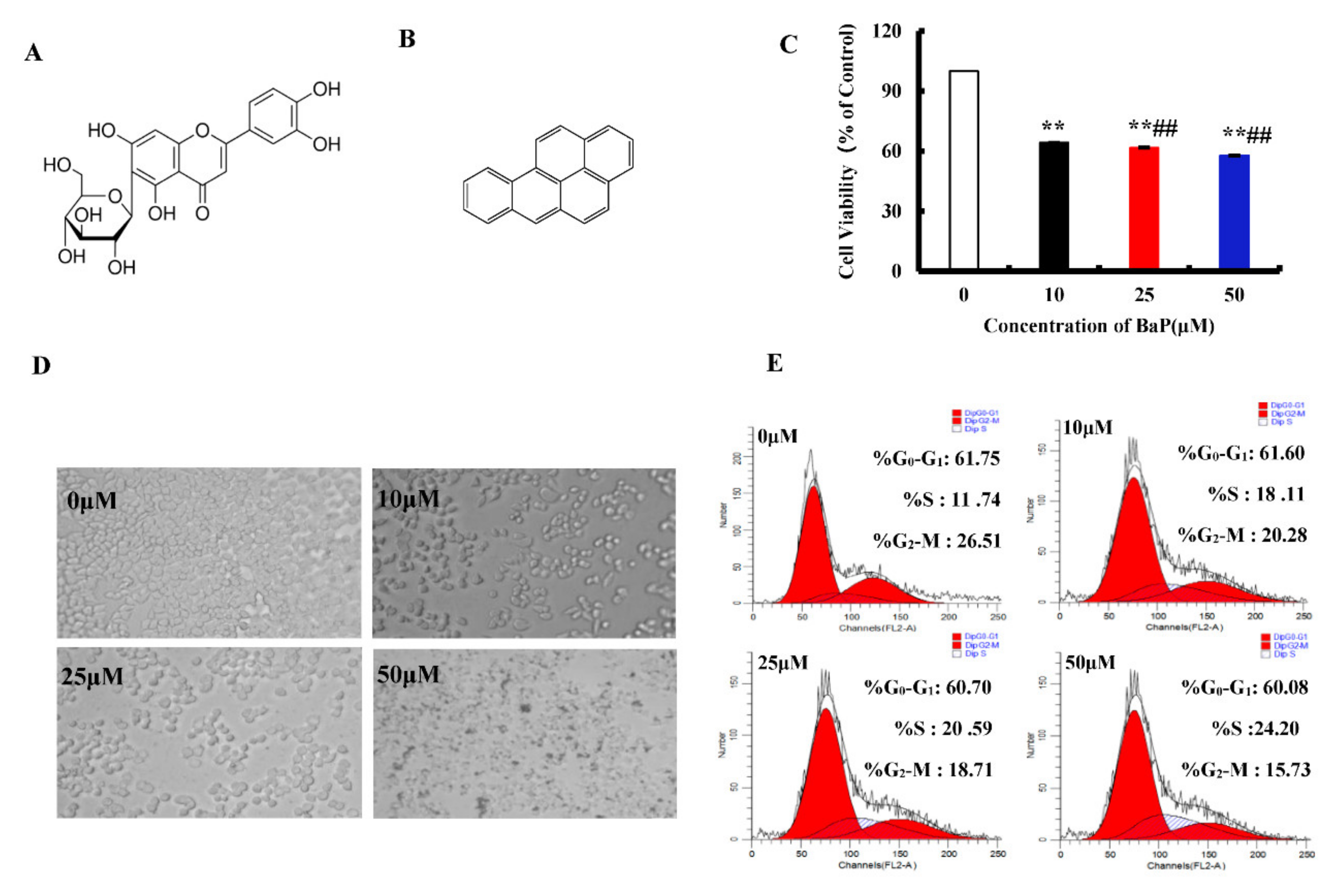 Antioxidants 10 01275 g001