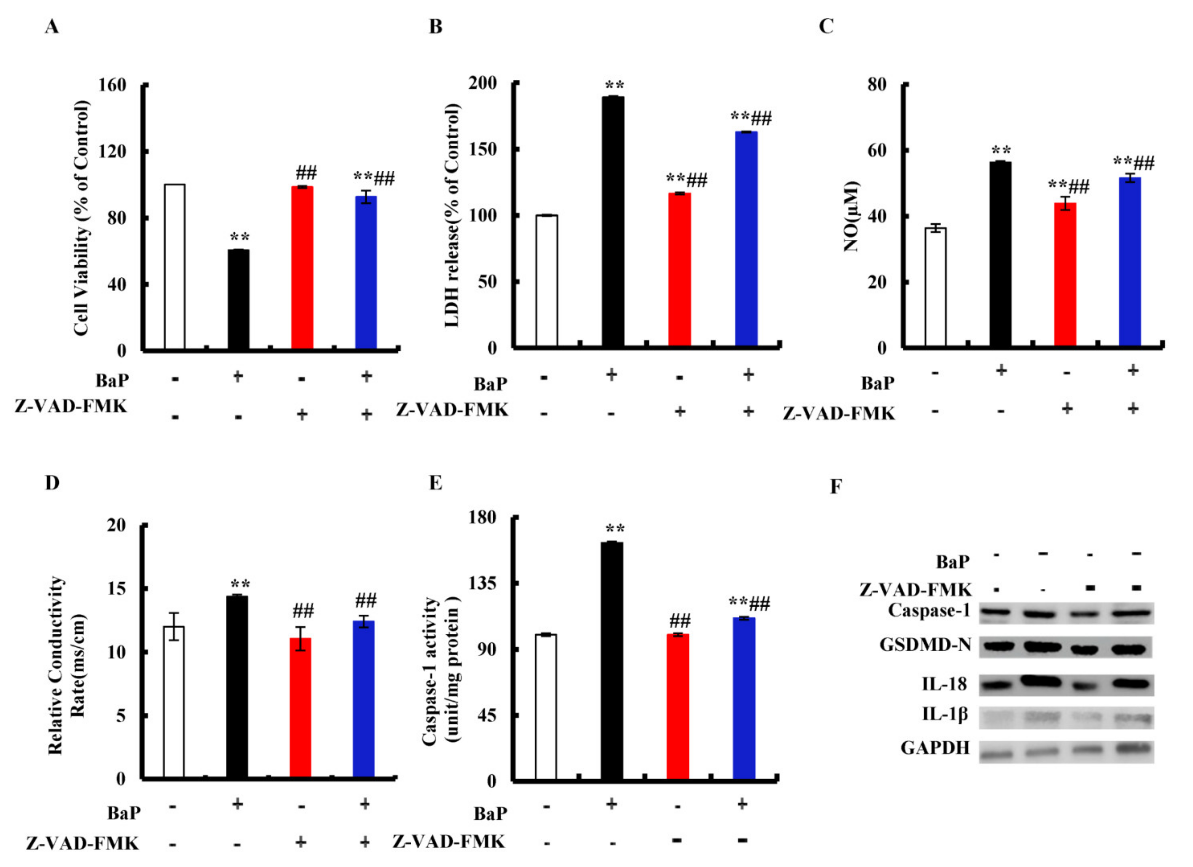 Antioxidants 10 01275 g003