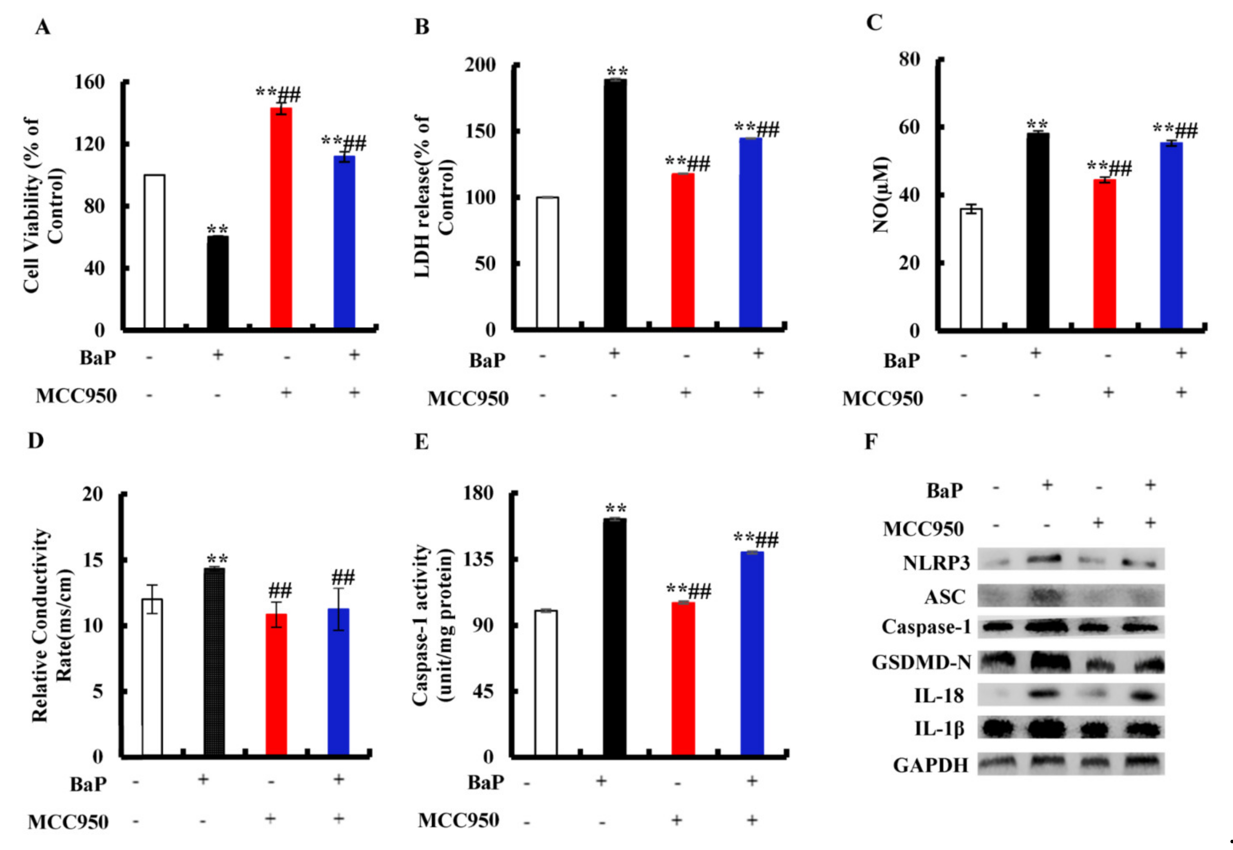 Antioxidants 10 01275 g004