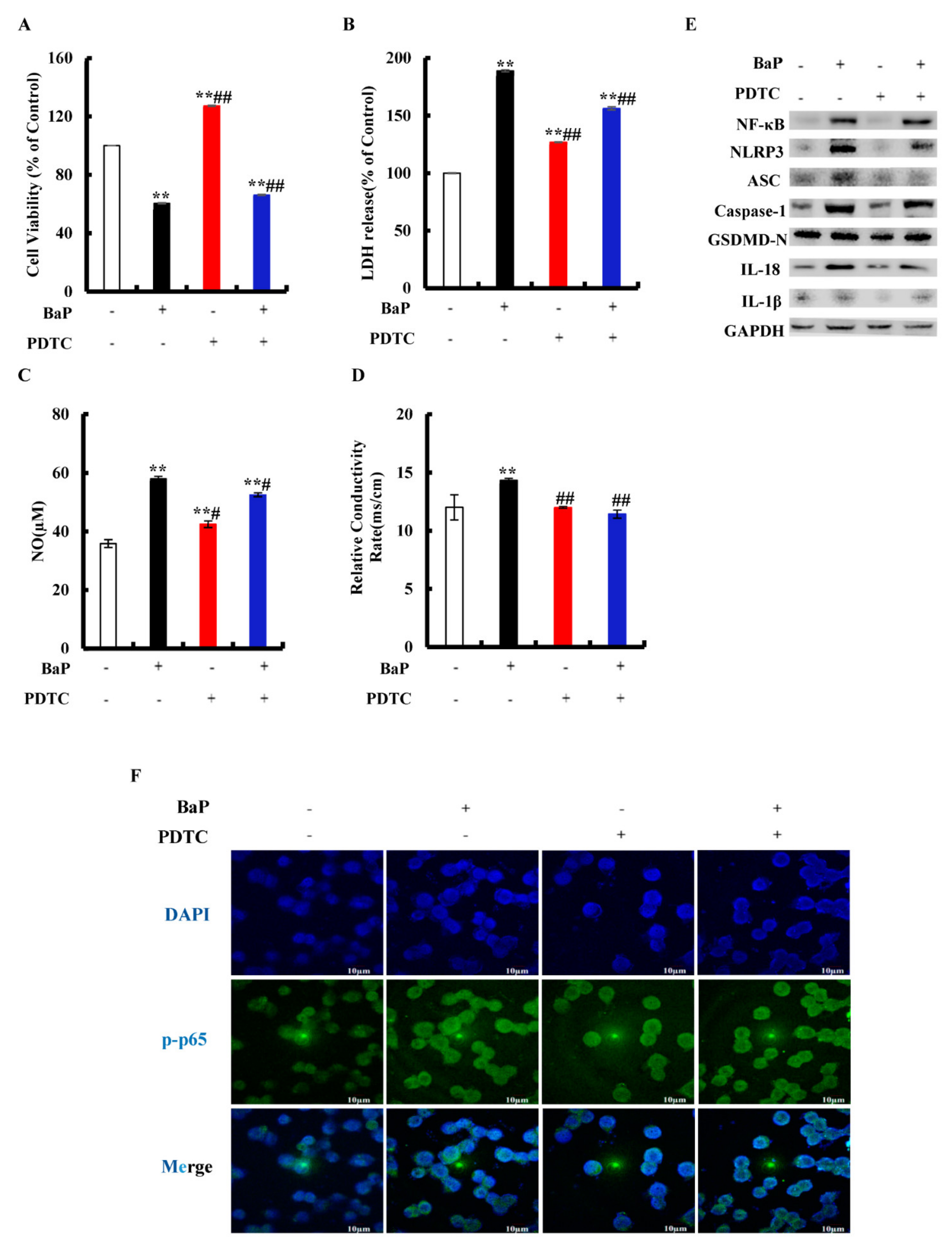 Antioxidants 10 01275 g005