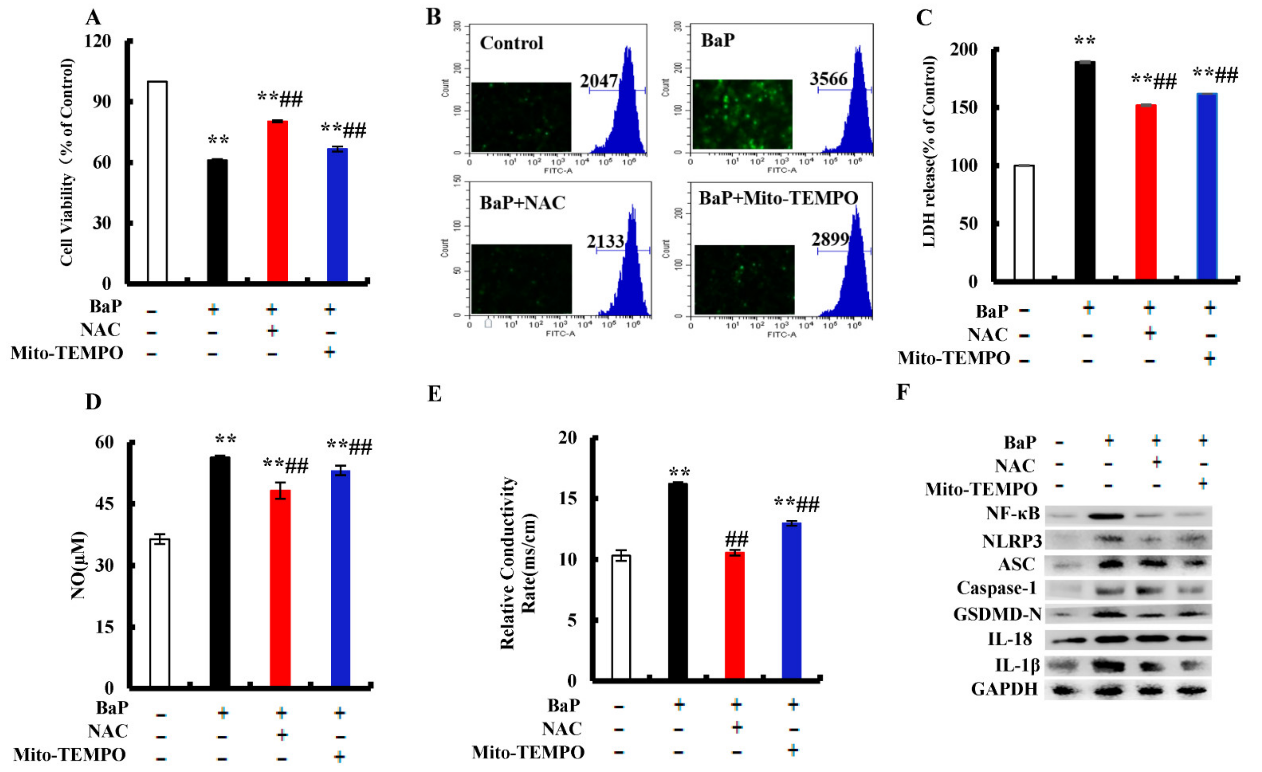 Antioxidants 10 01275 g006