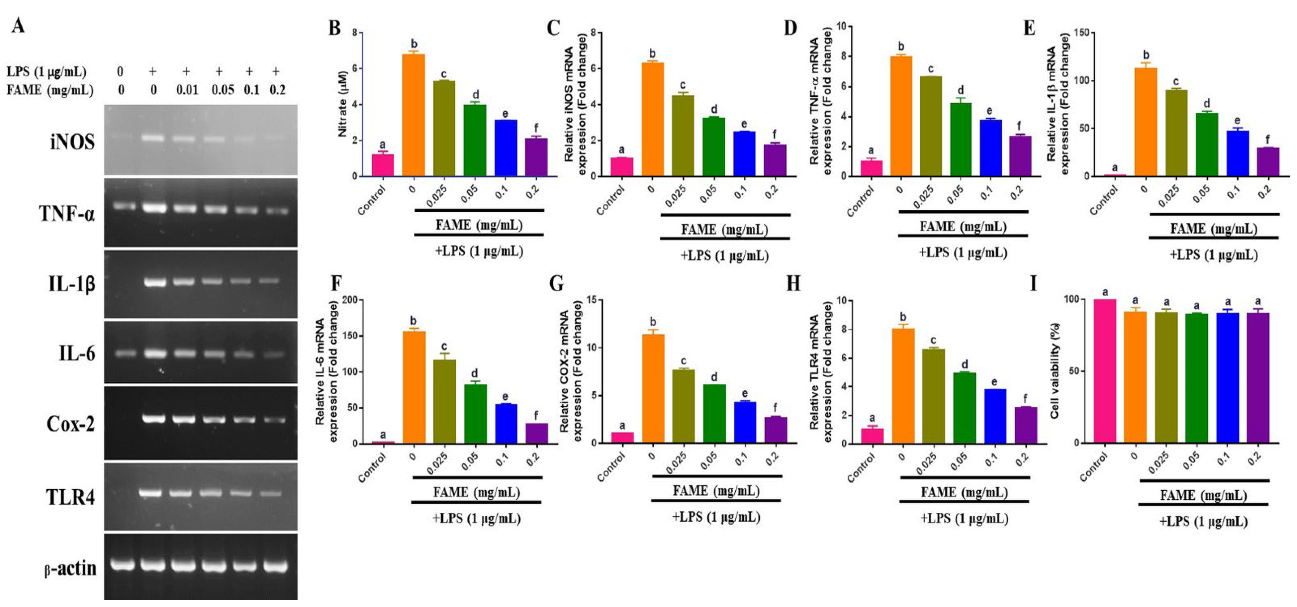 Antioxidants 10 01276 g004