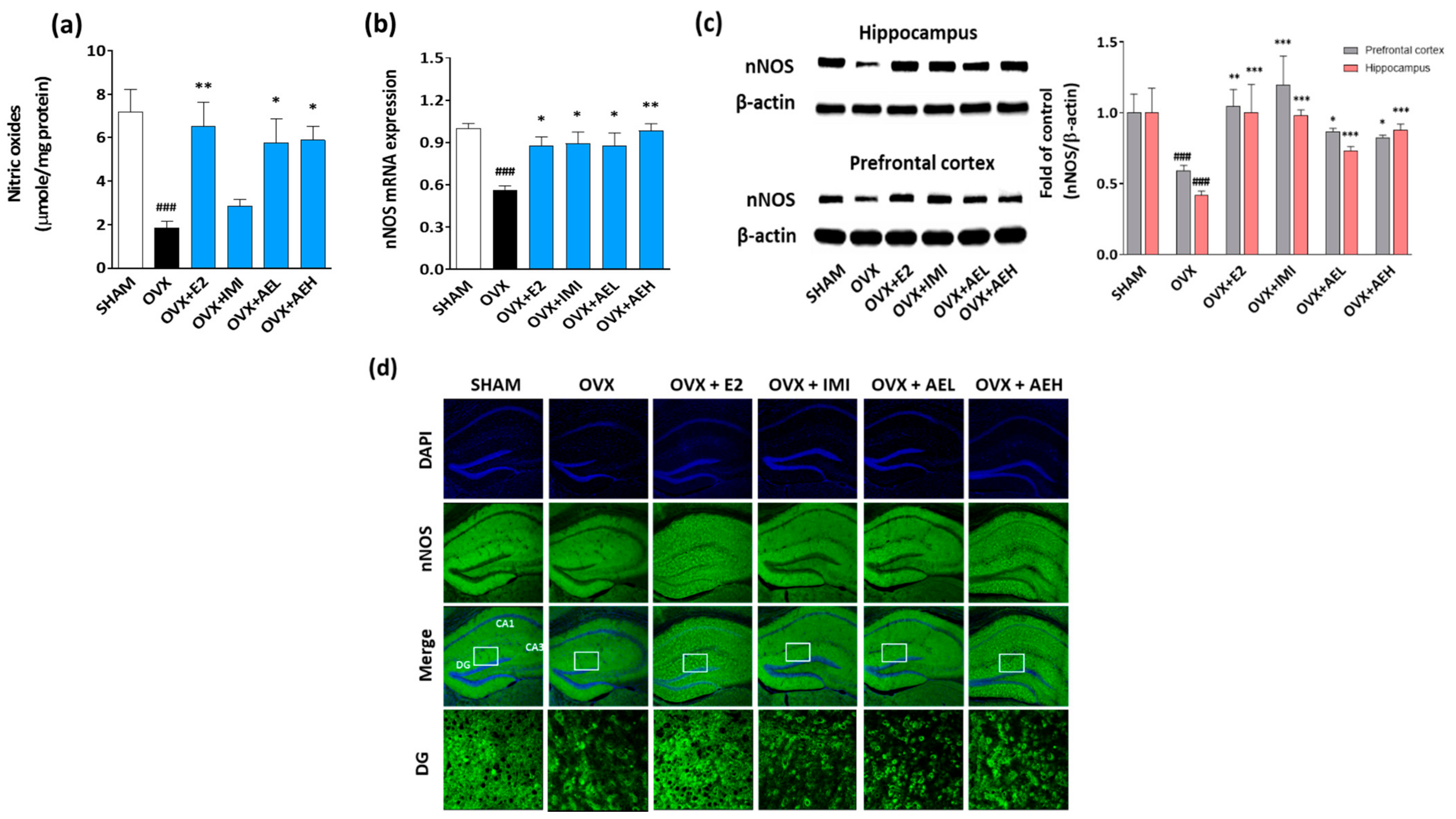 Antioxidants 10 01281 g003
