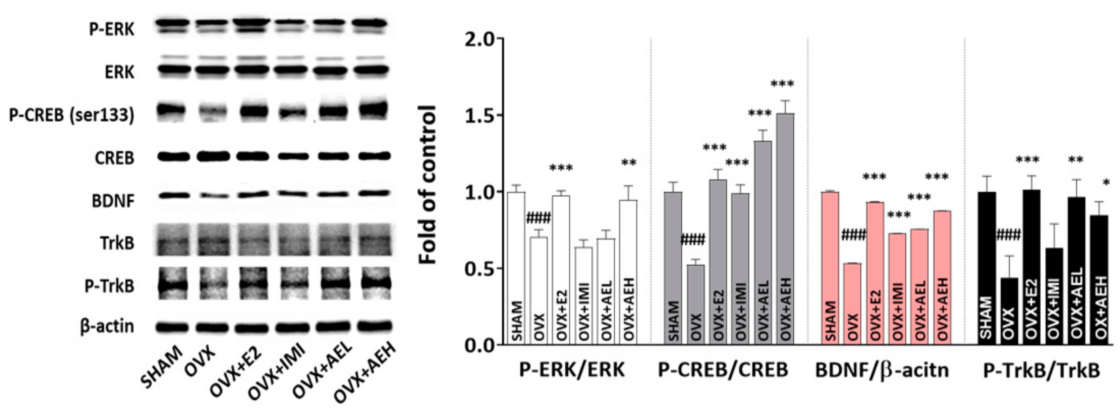 Antioxidants 10 01281 g004