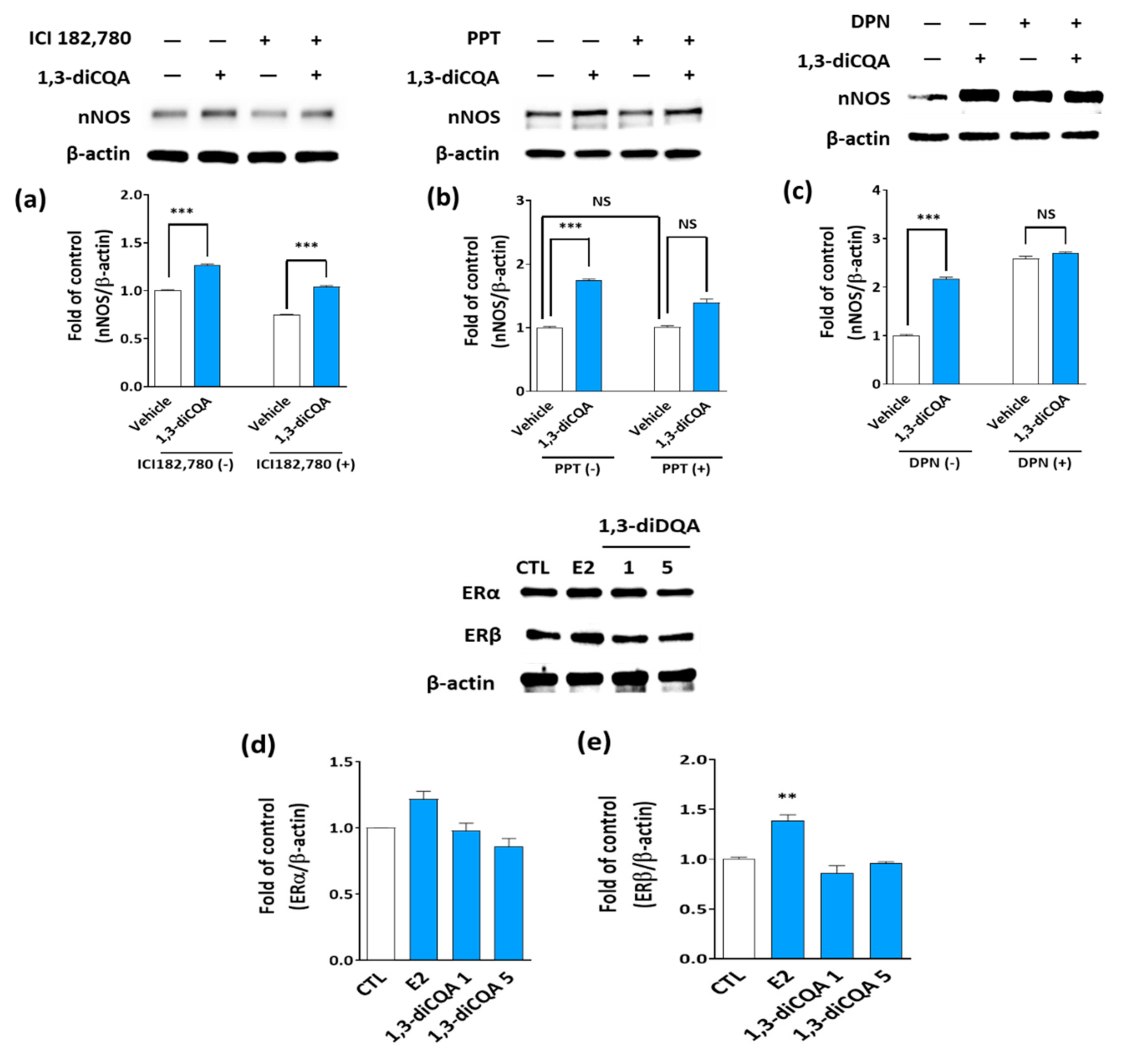 Antioxidants 10 01281 g006