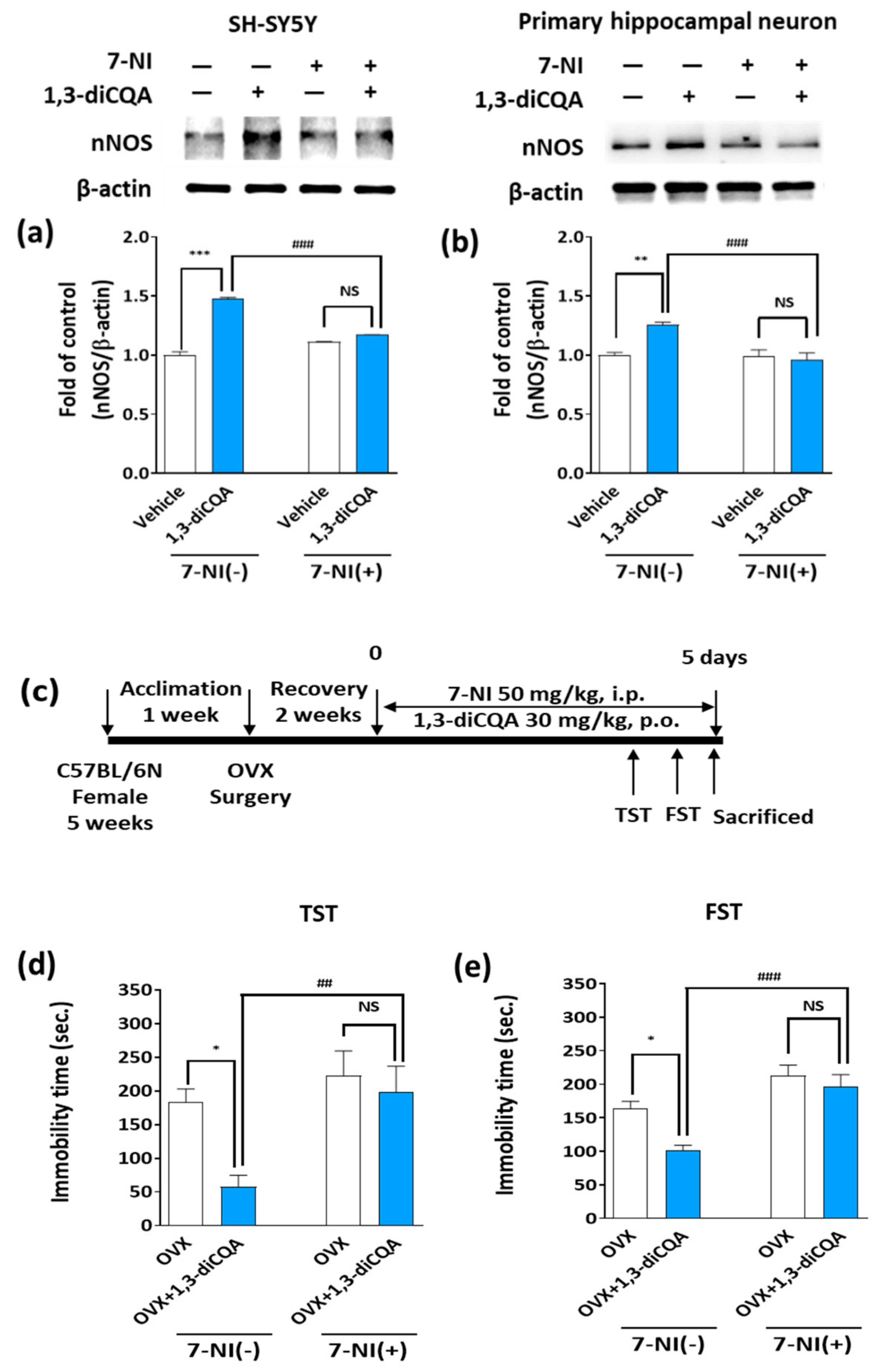 Antioxidants 10 01281 g007