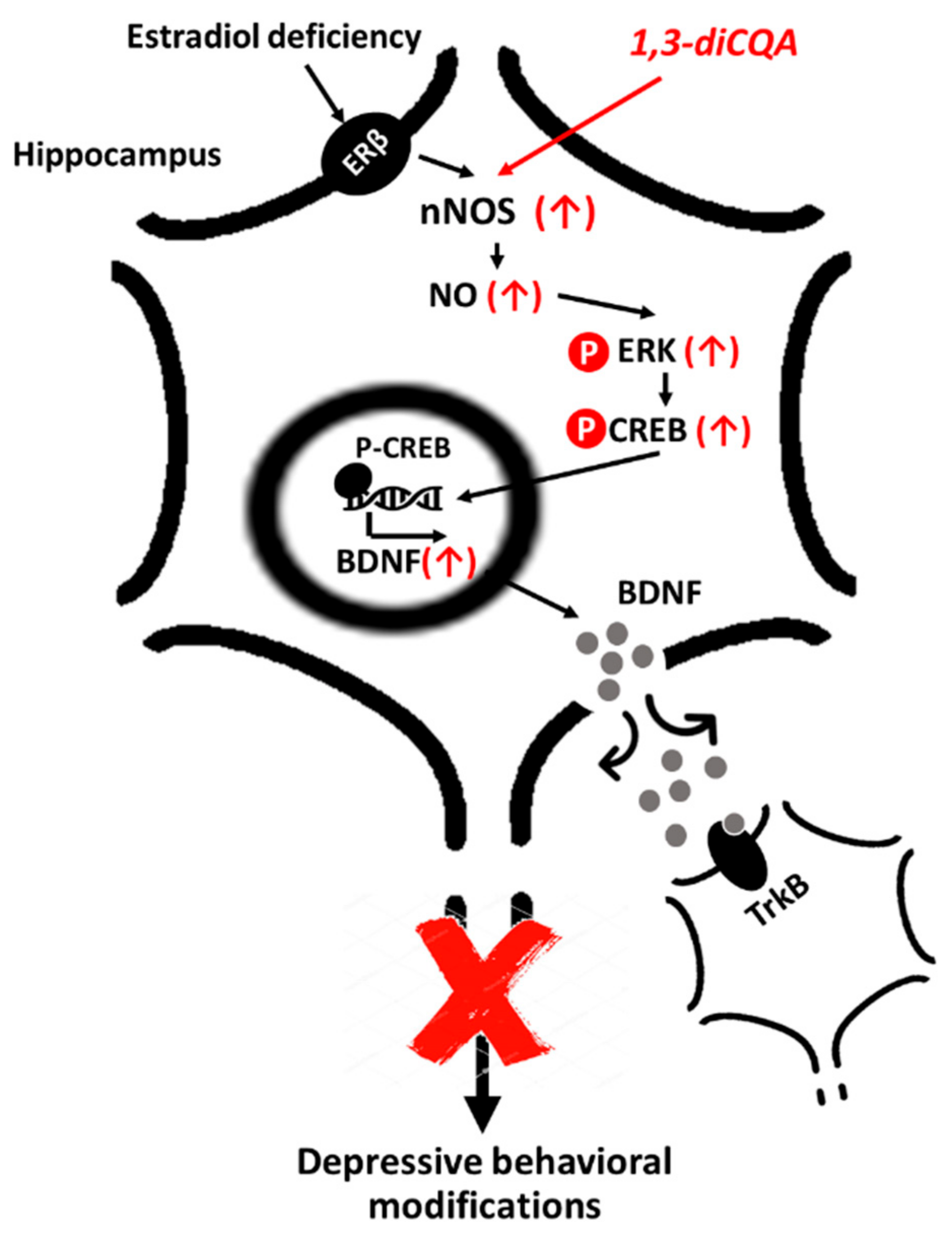 Antioxidants 10 01281 g008