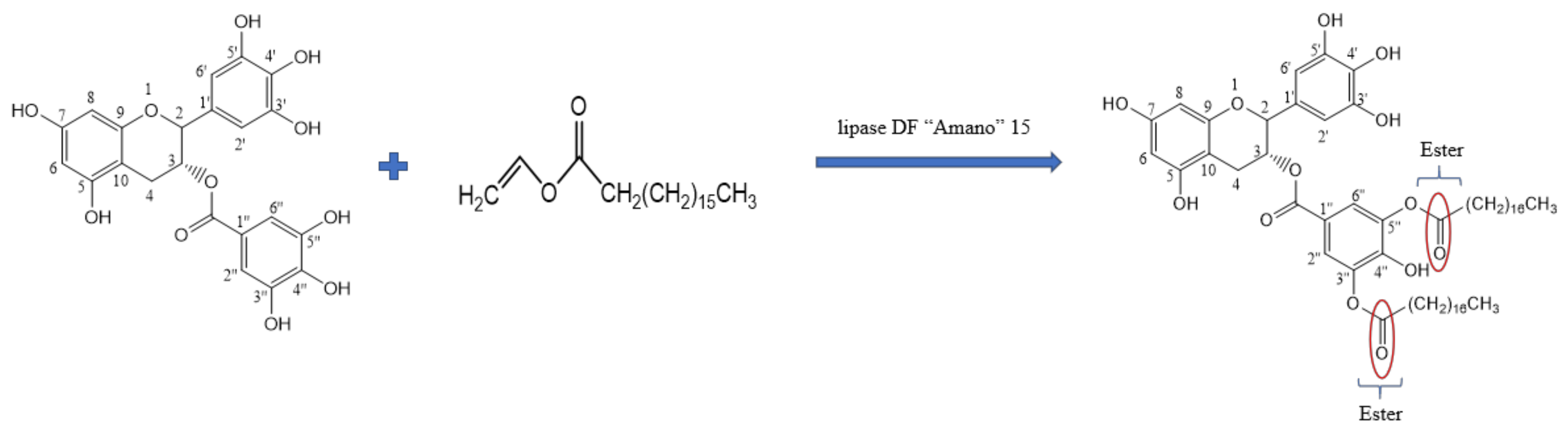 Antioxidants 10 01282 g005