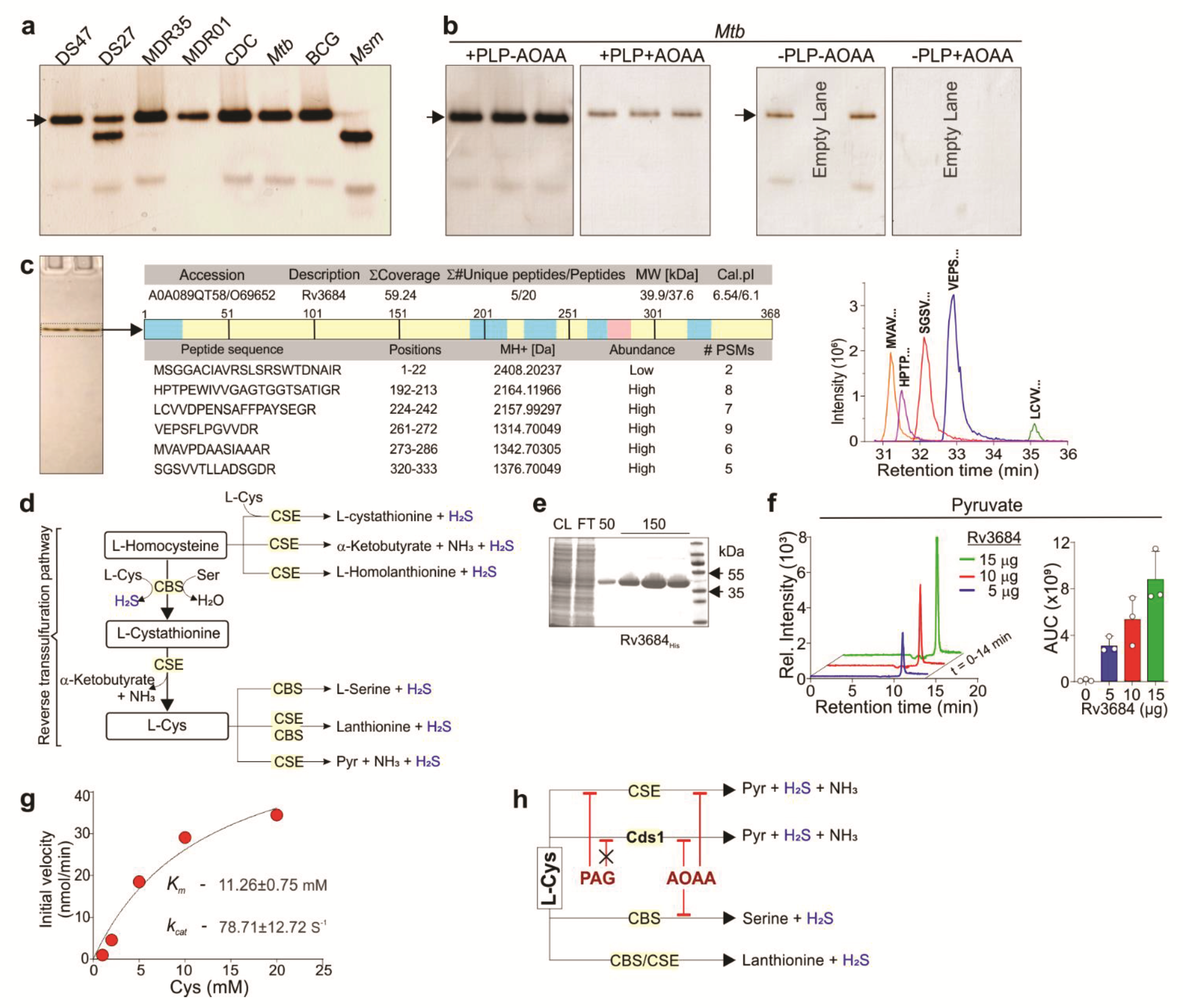 Antioxidants 10 01285 g002