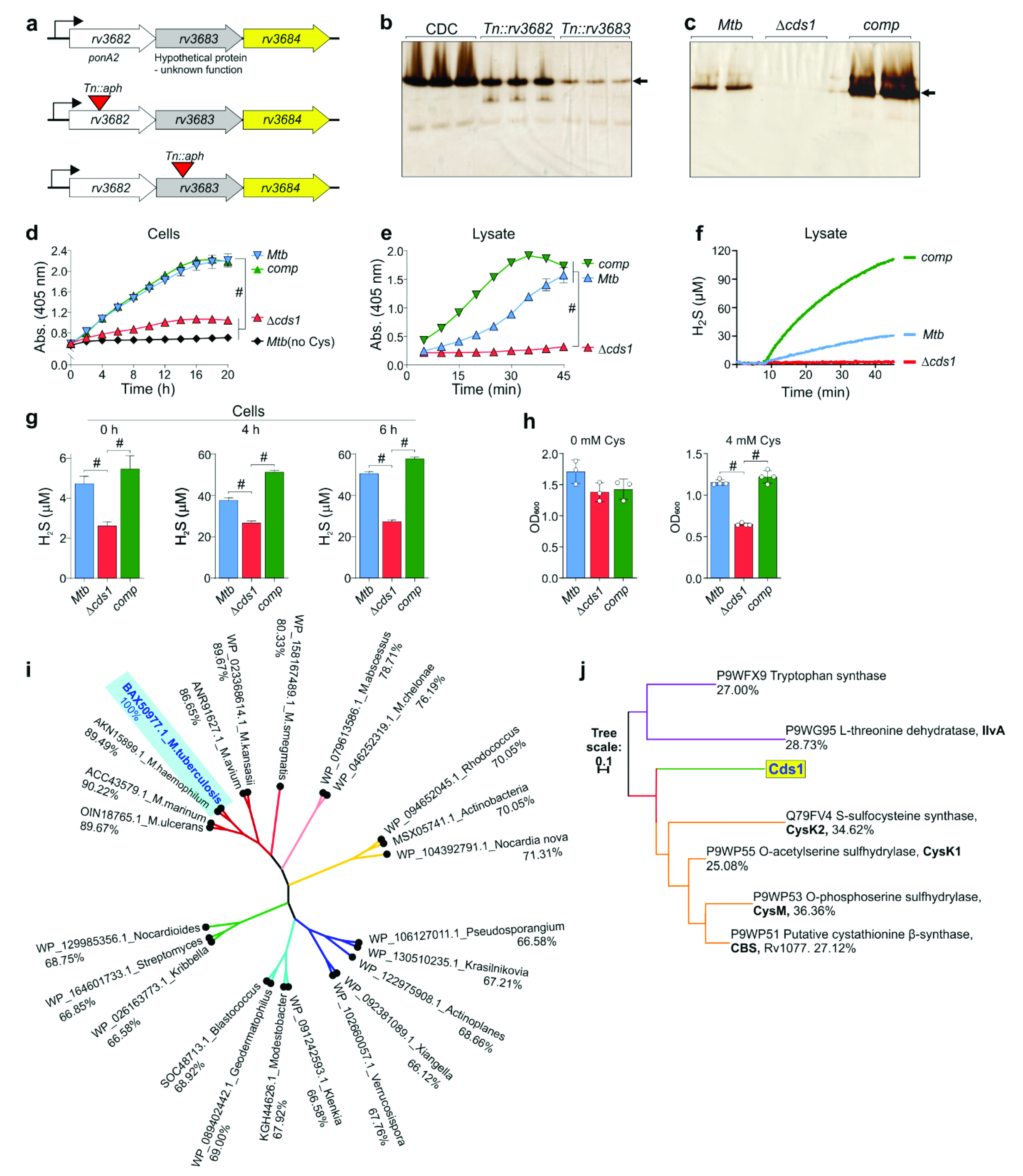 Antioxidants 10 01285 g003