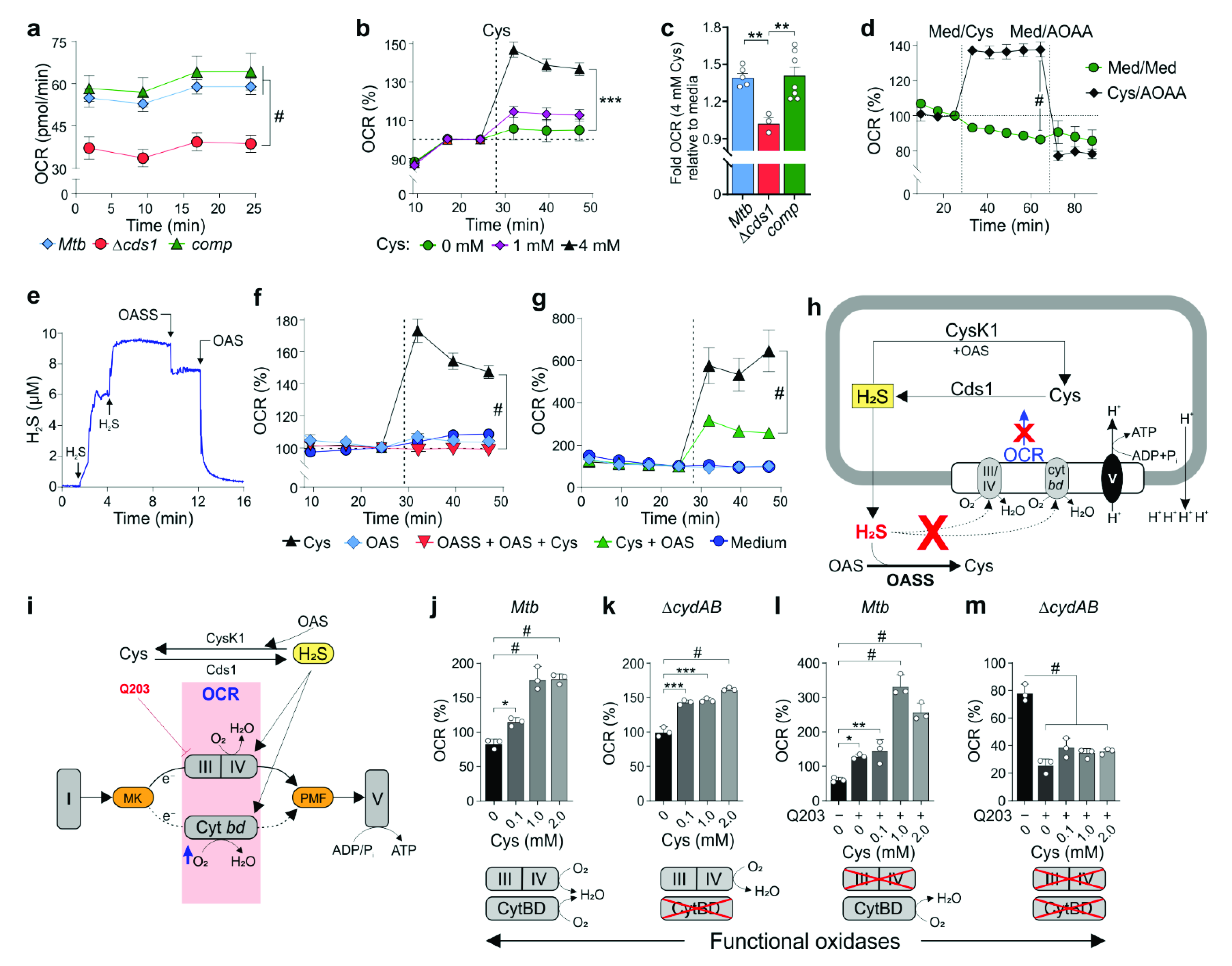 Antioxidants 10 01285 g005