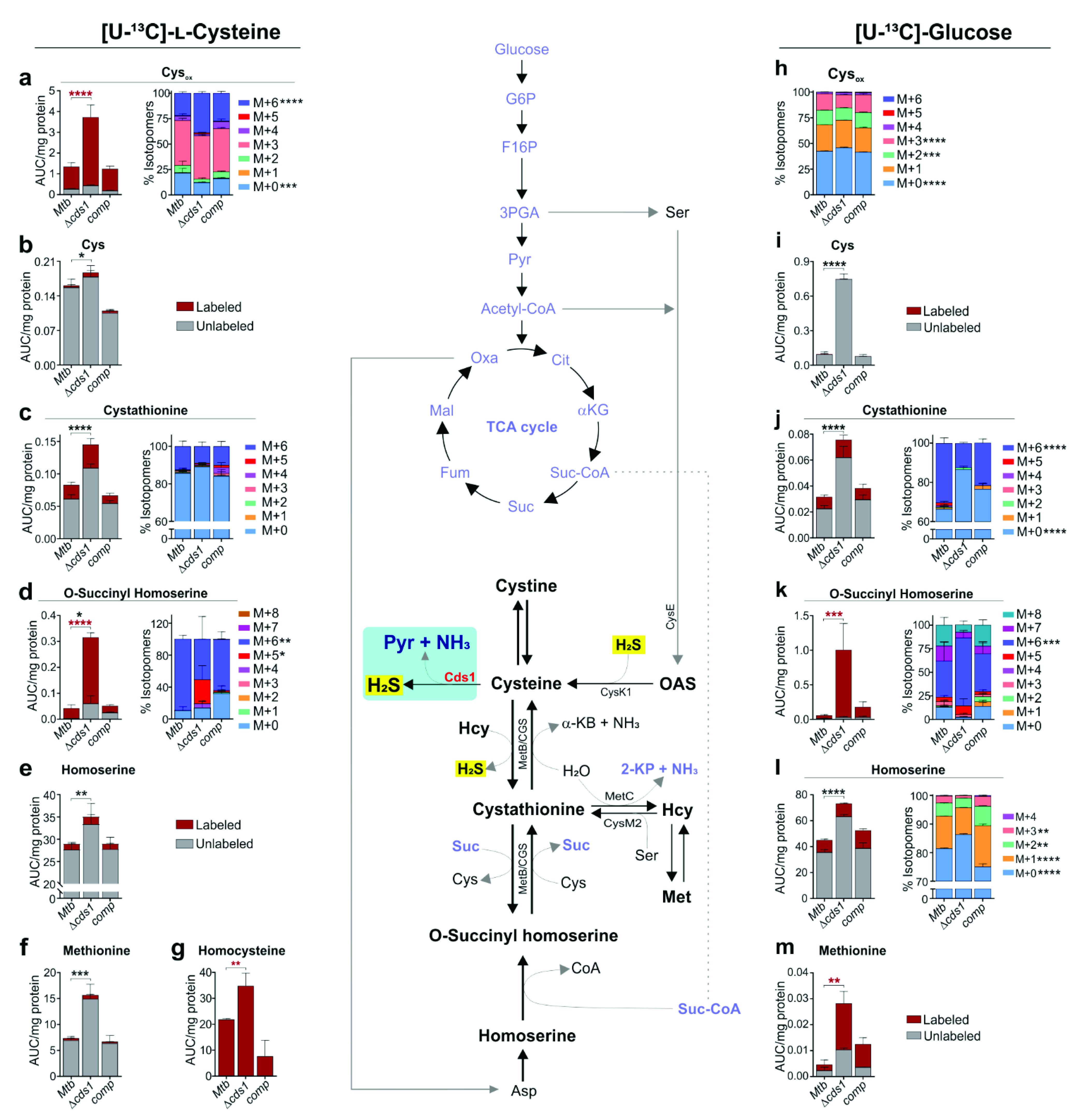 Antioxidants 10 01285 g006