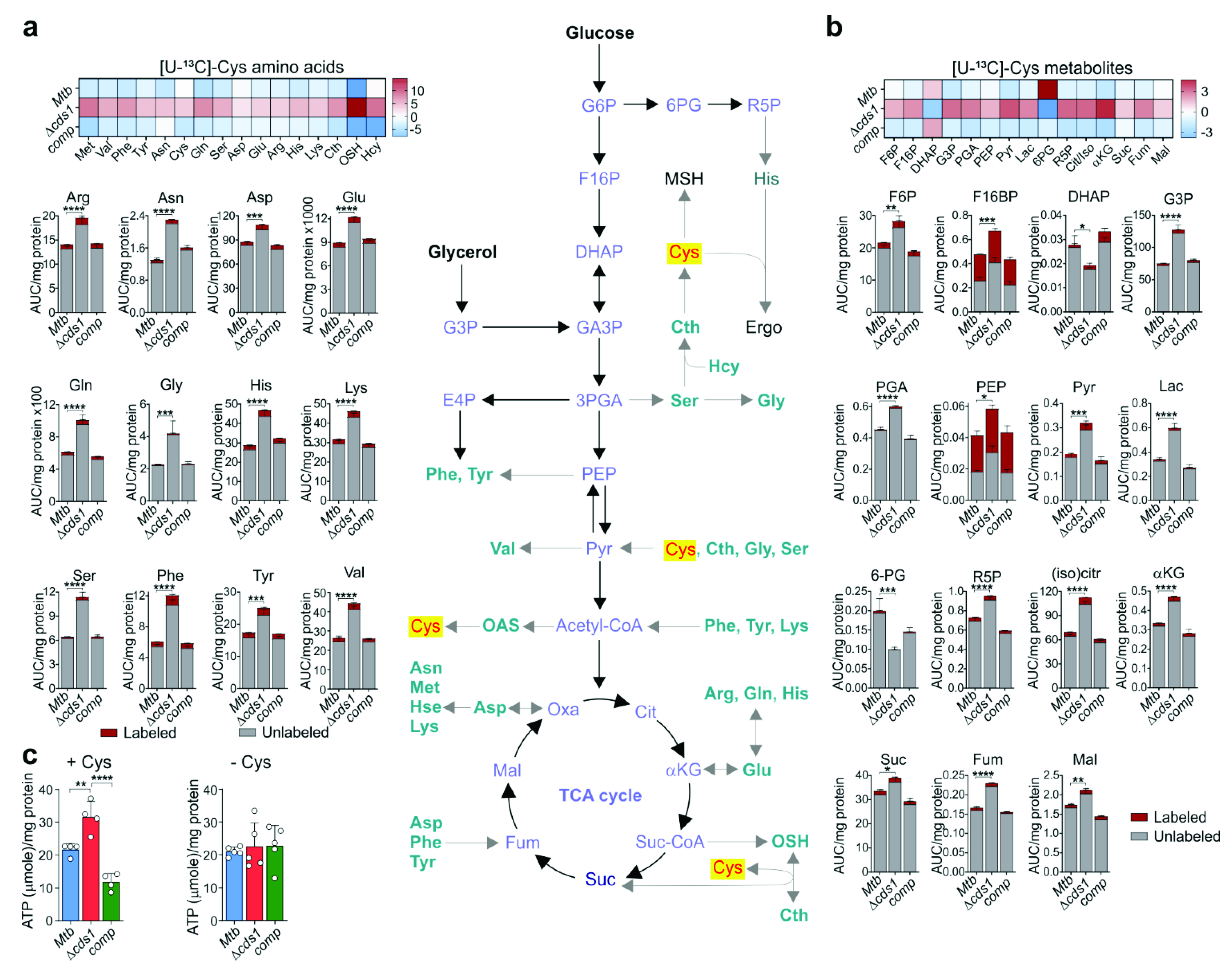 Antioxidants 10 01285 g007