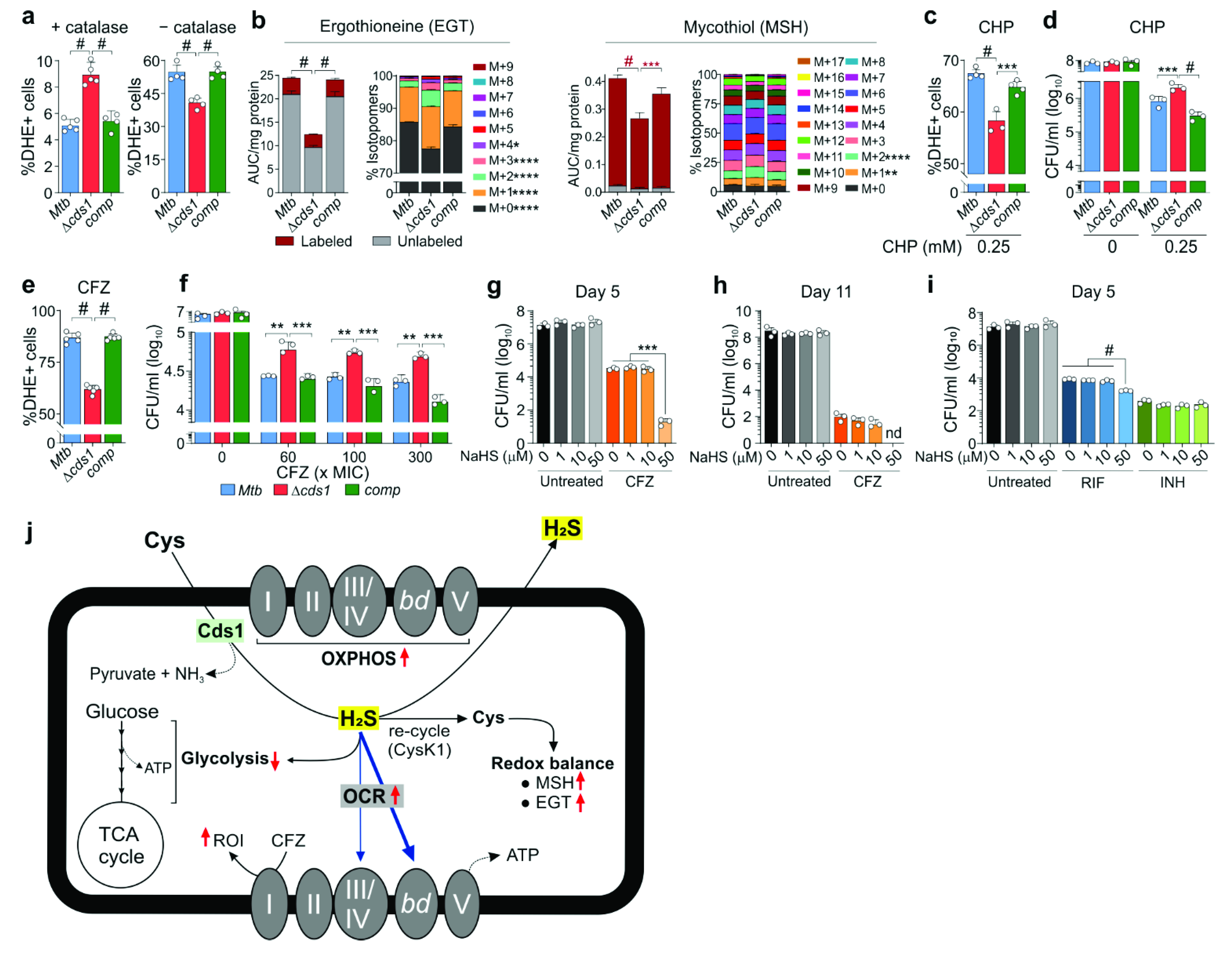Antioxidants 10 01285 g008