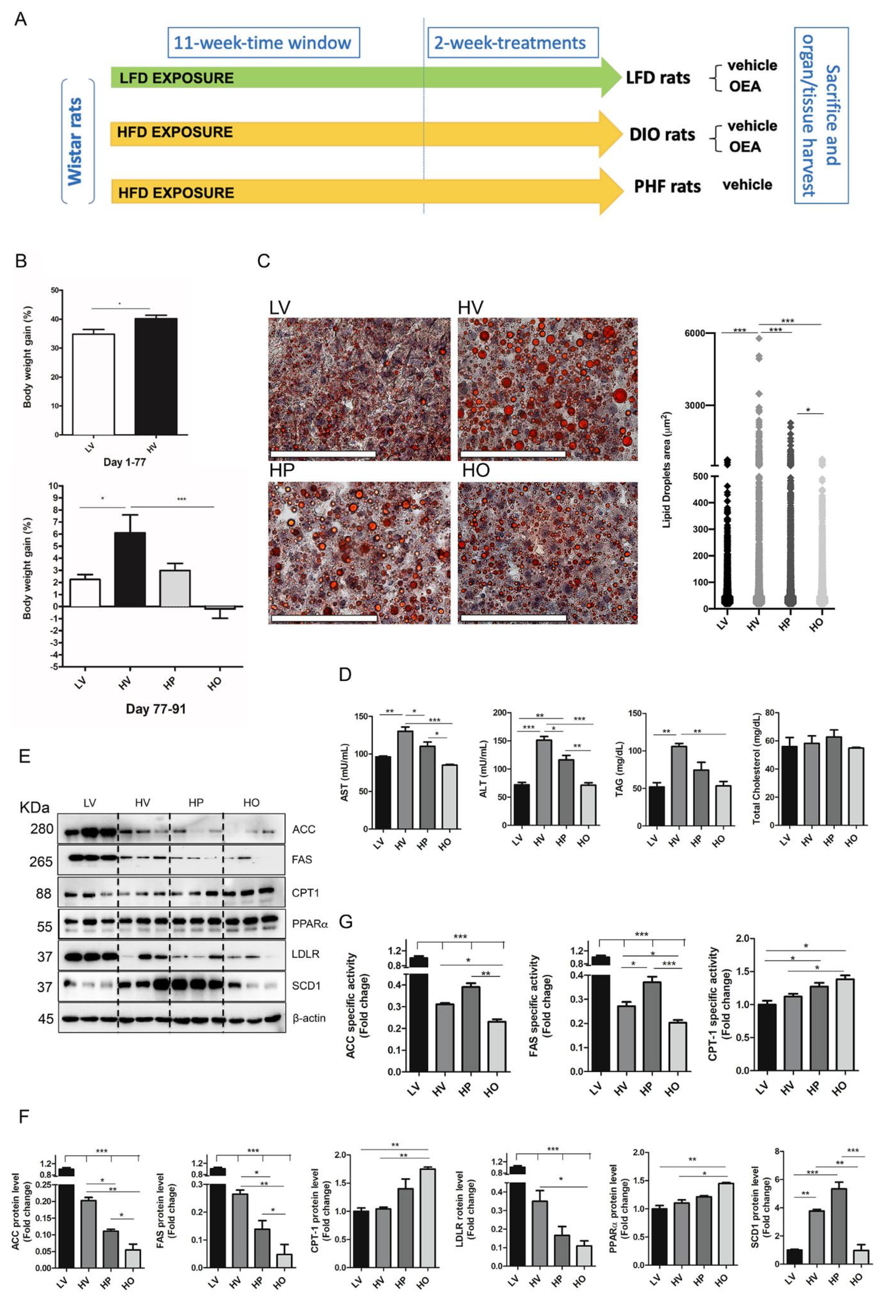 Antioxidants 10 01289 g001