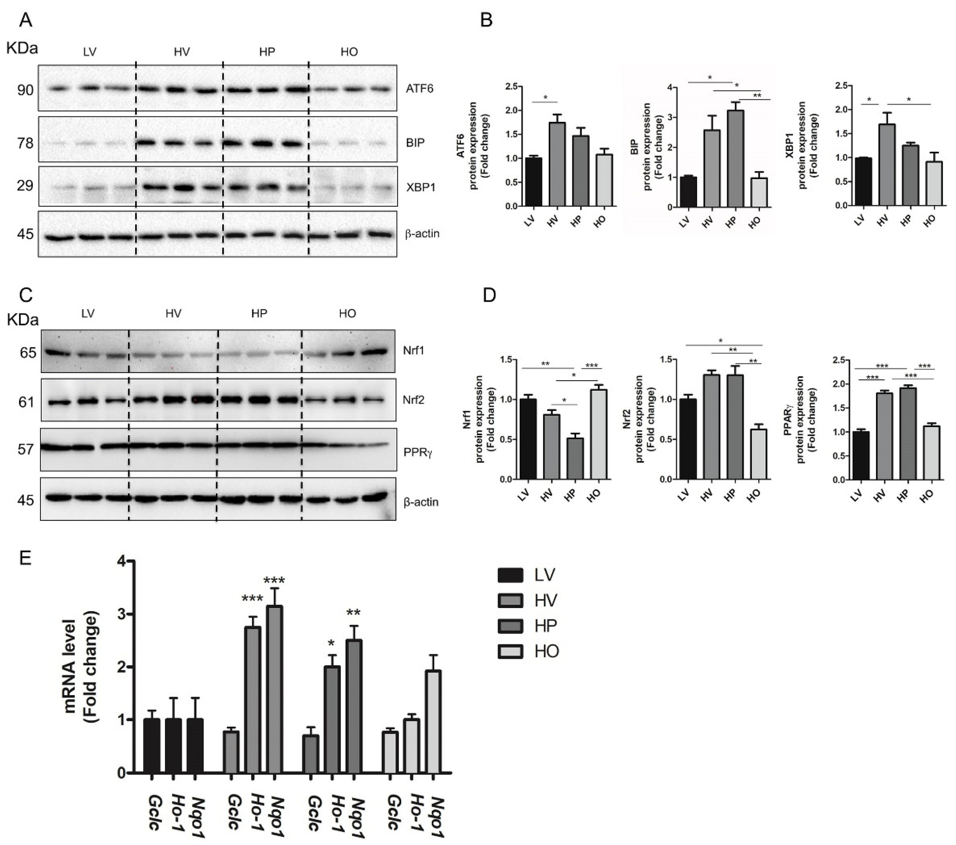 Antioxidants 10 01289 g003
