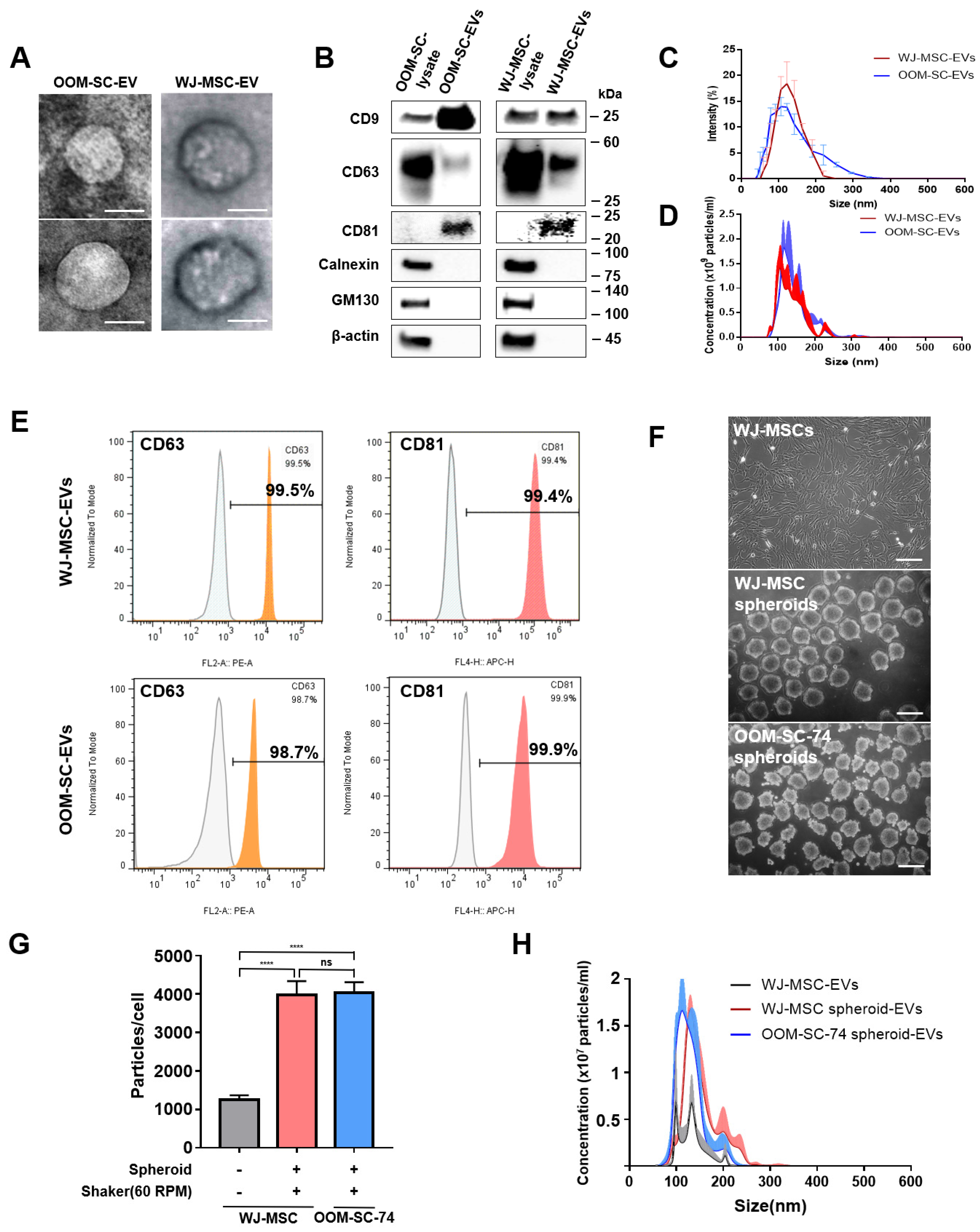 Antioxidants 10 01292 g003