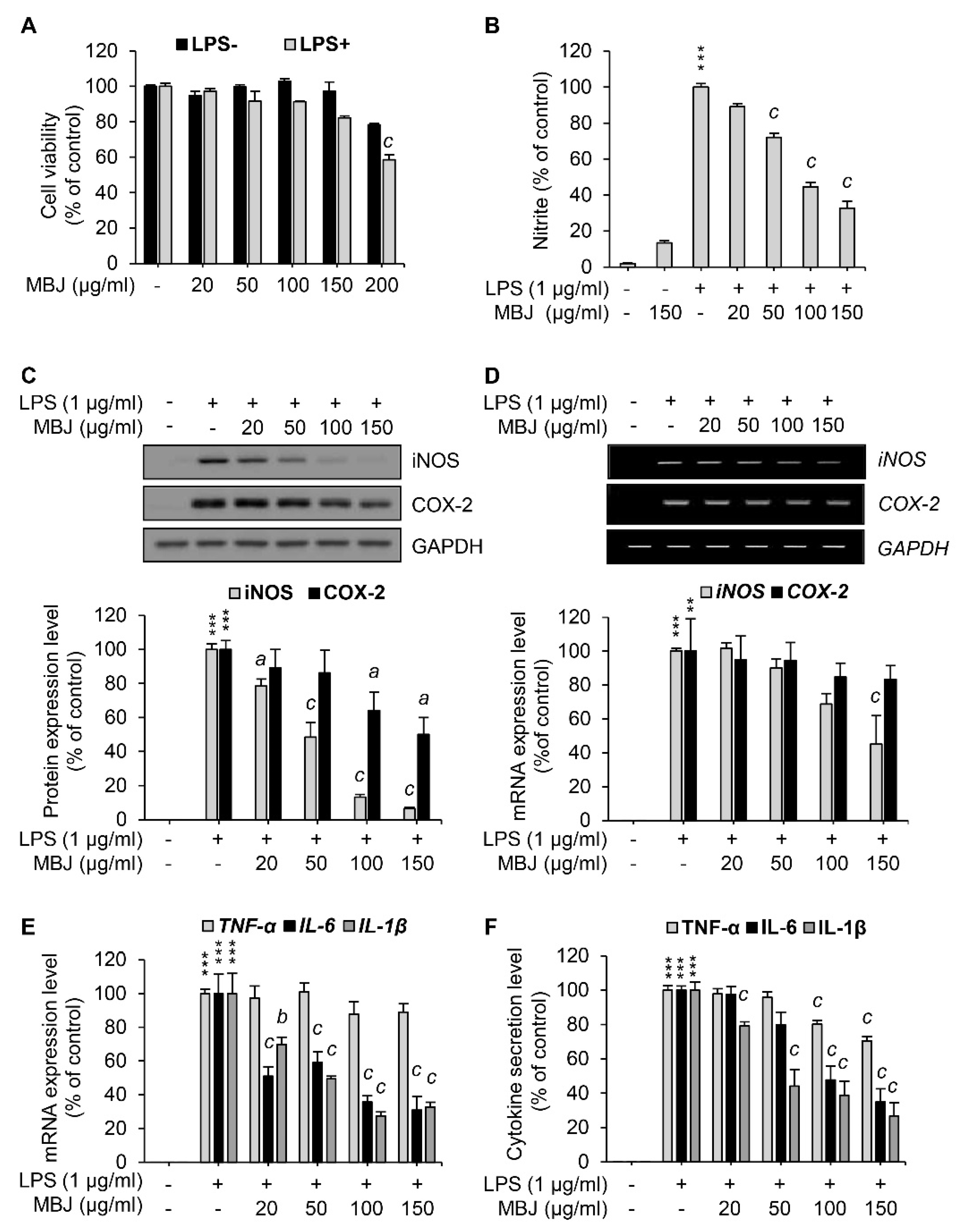 Antioxidants 10 01295 g001