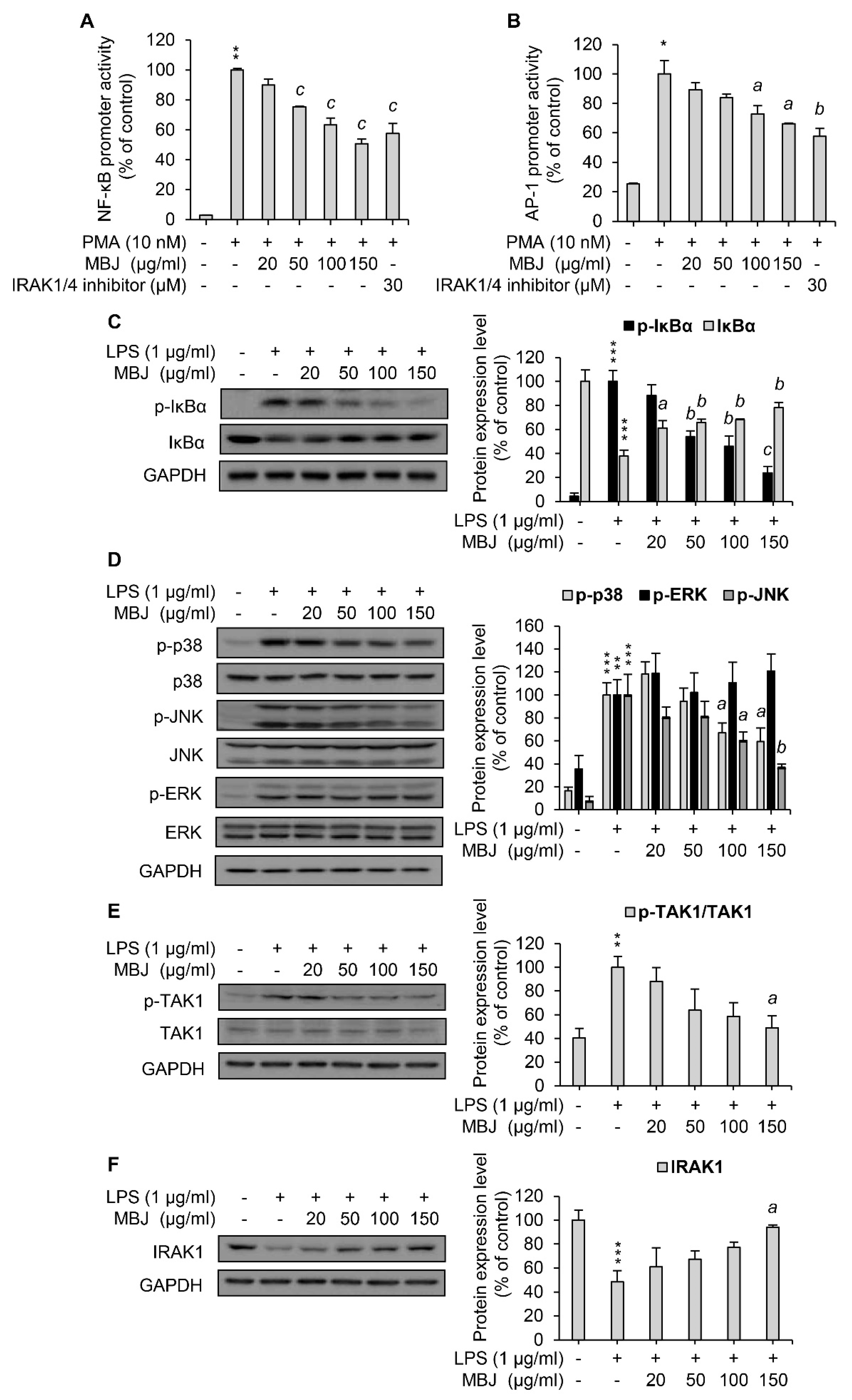 Antioxidants 10 01295 g002